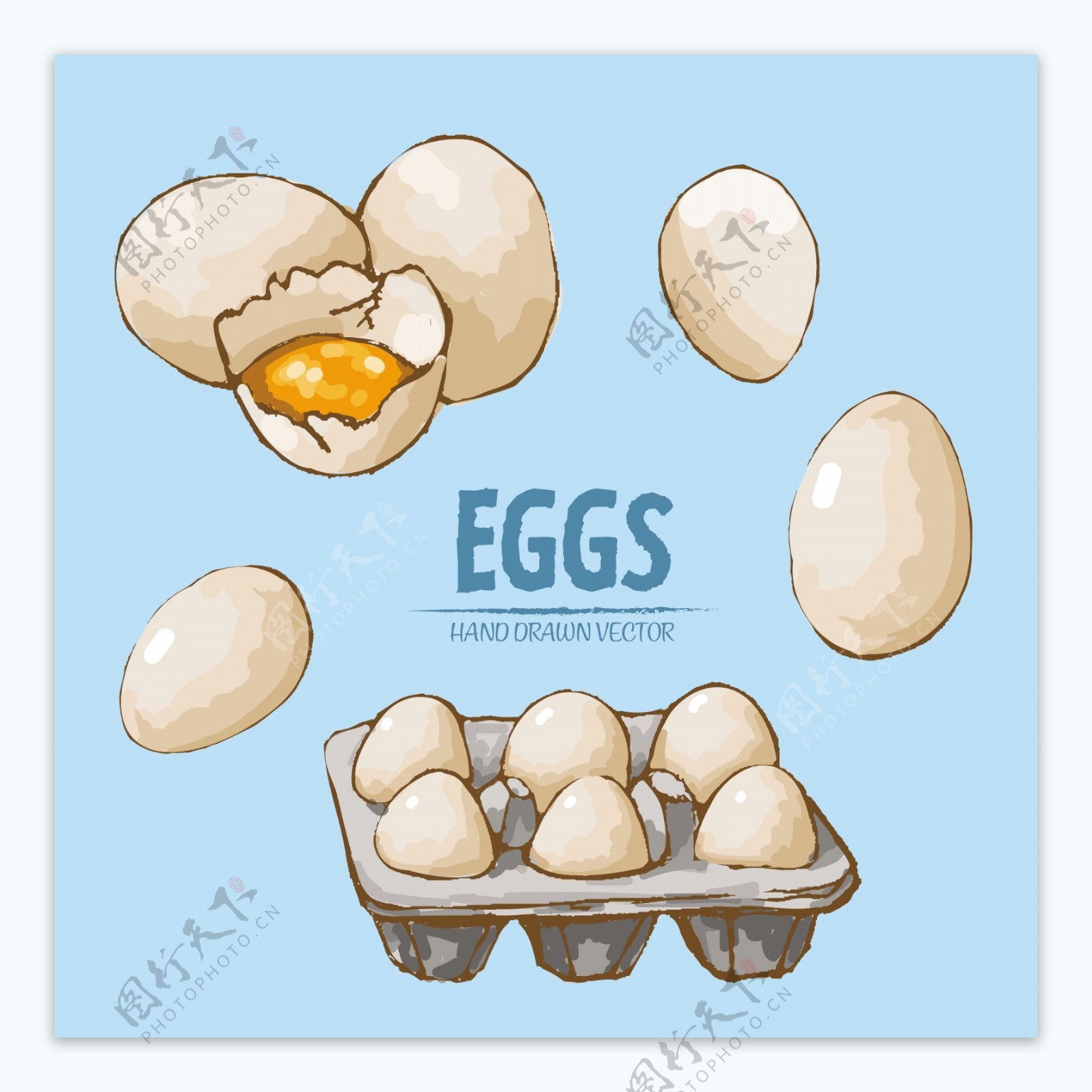 鸡蛋写生|插画|插画习作|追光者一 - 原创作品 - 站酷 (ZCOOL)