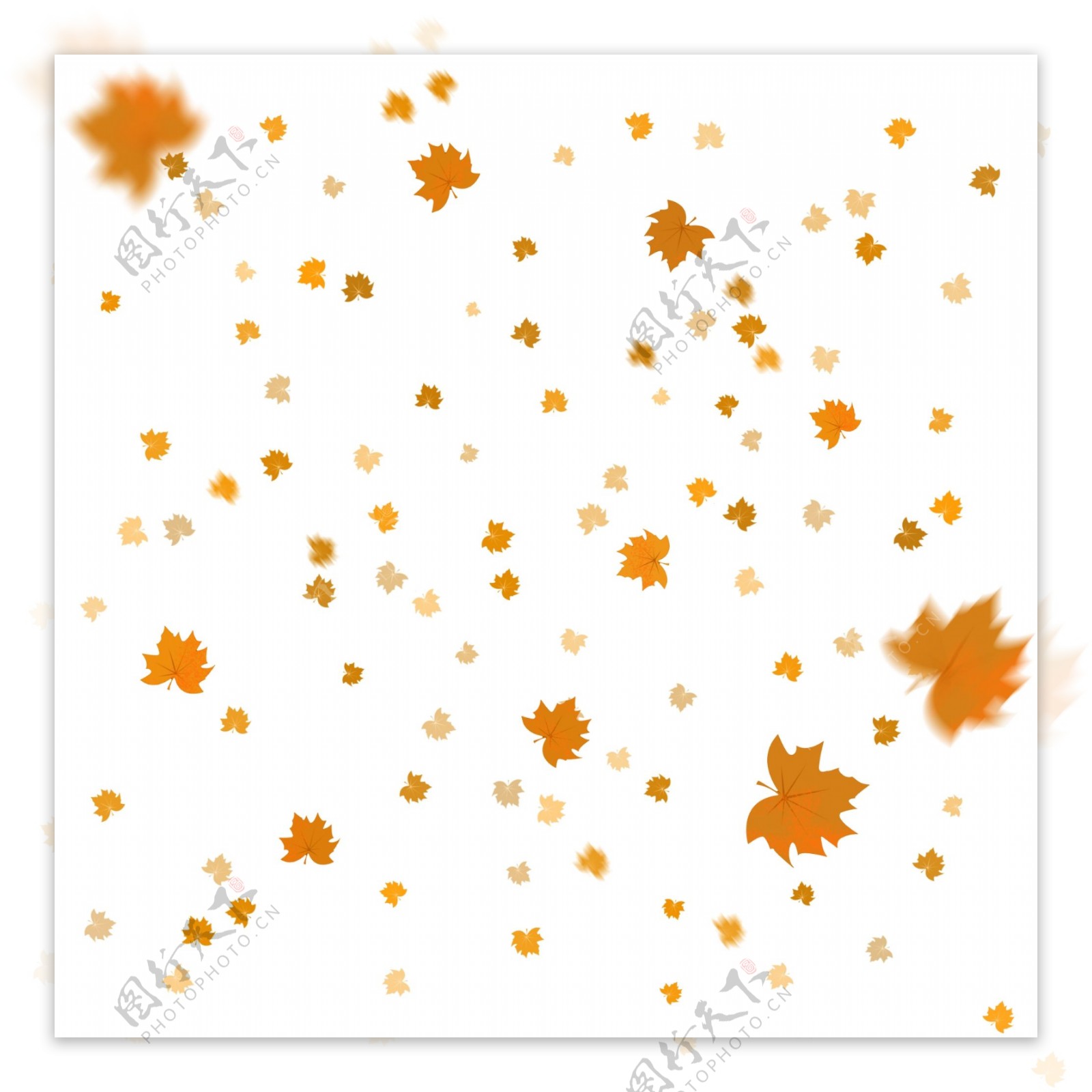 秋天枫叶叶子漂浮气氛电商装饰免抠可商用