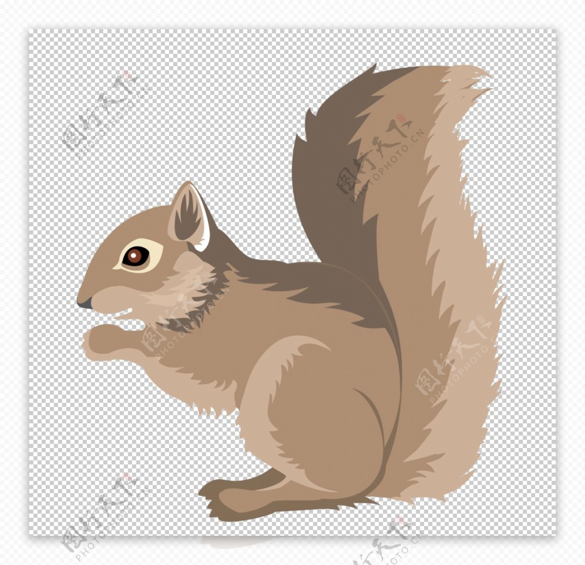卡通松鼠图片素材-编号30910473-图行天下