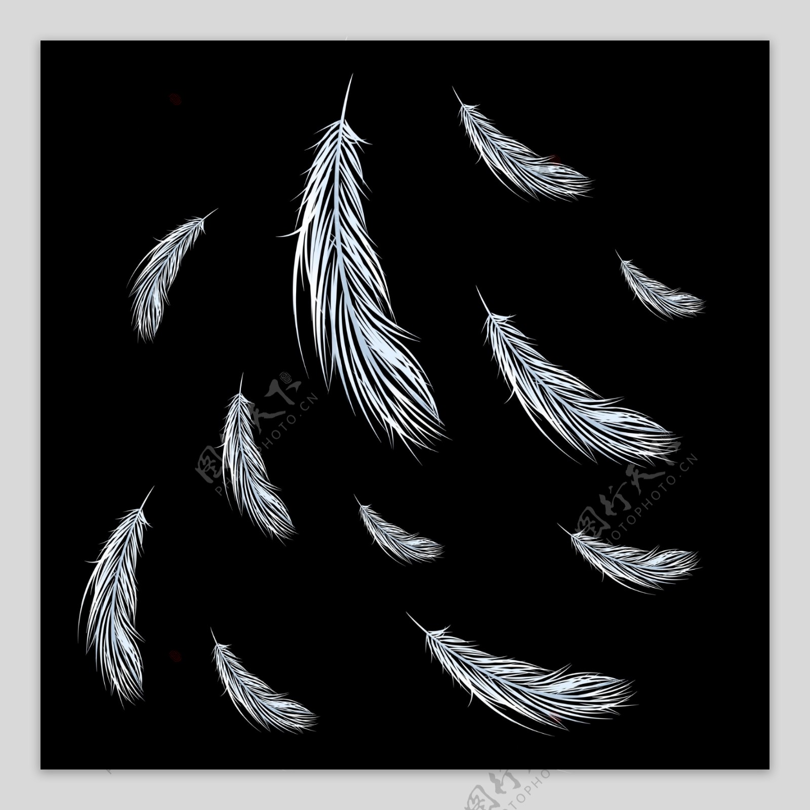 商用手绘漂浮羽毛白色天鹅背景素材