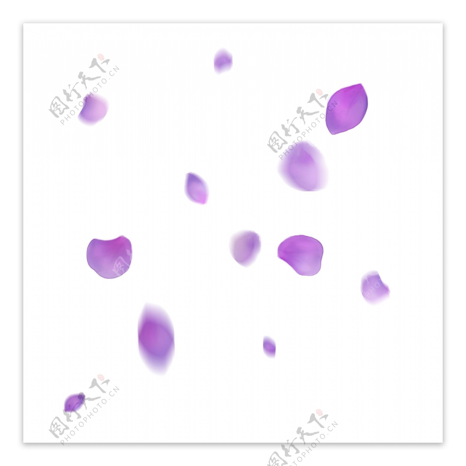 漂浮的紫色花瓣手绘绣球花瓣飘落的花瓣