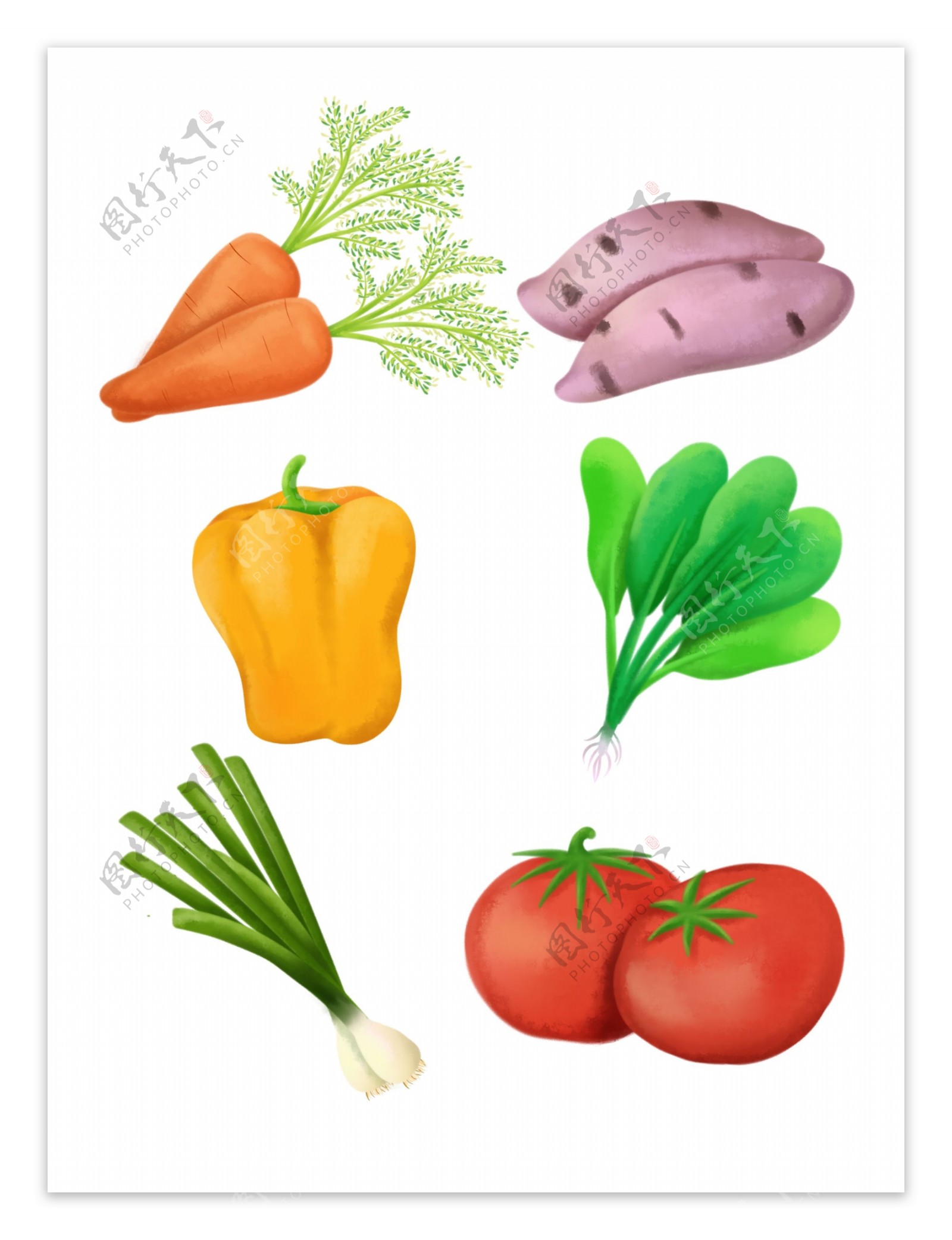 简约手绘蔬菜食品健康餐饮萝卜可商用元素