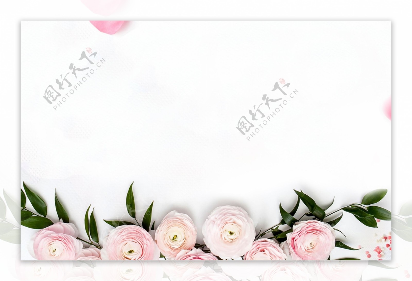 简约粉色玫瑰花背景设计