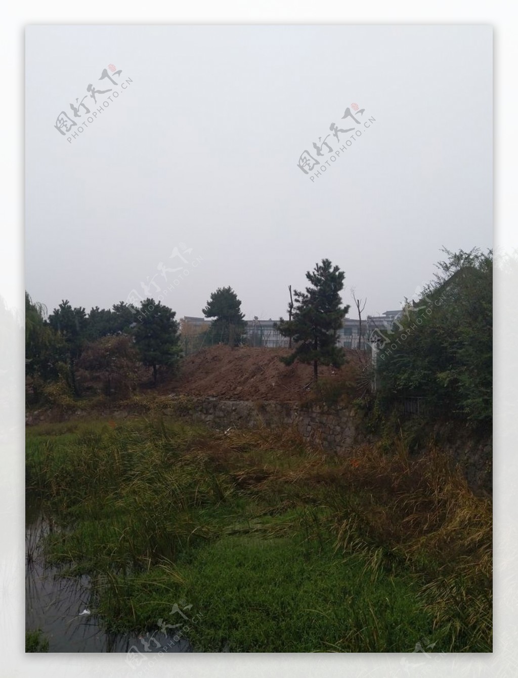 雨天的公园风景