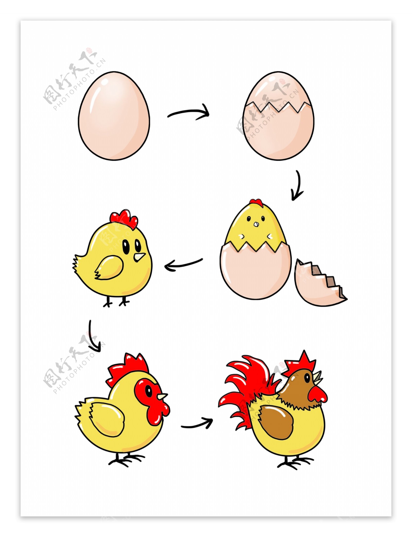 破壳的小鸡鸡蛋图片素材-编号30199011-图行天下
