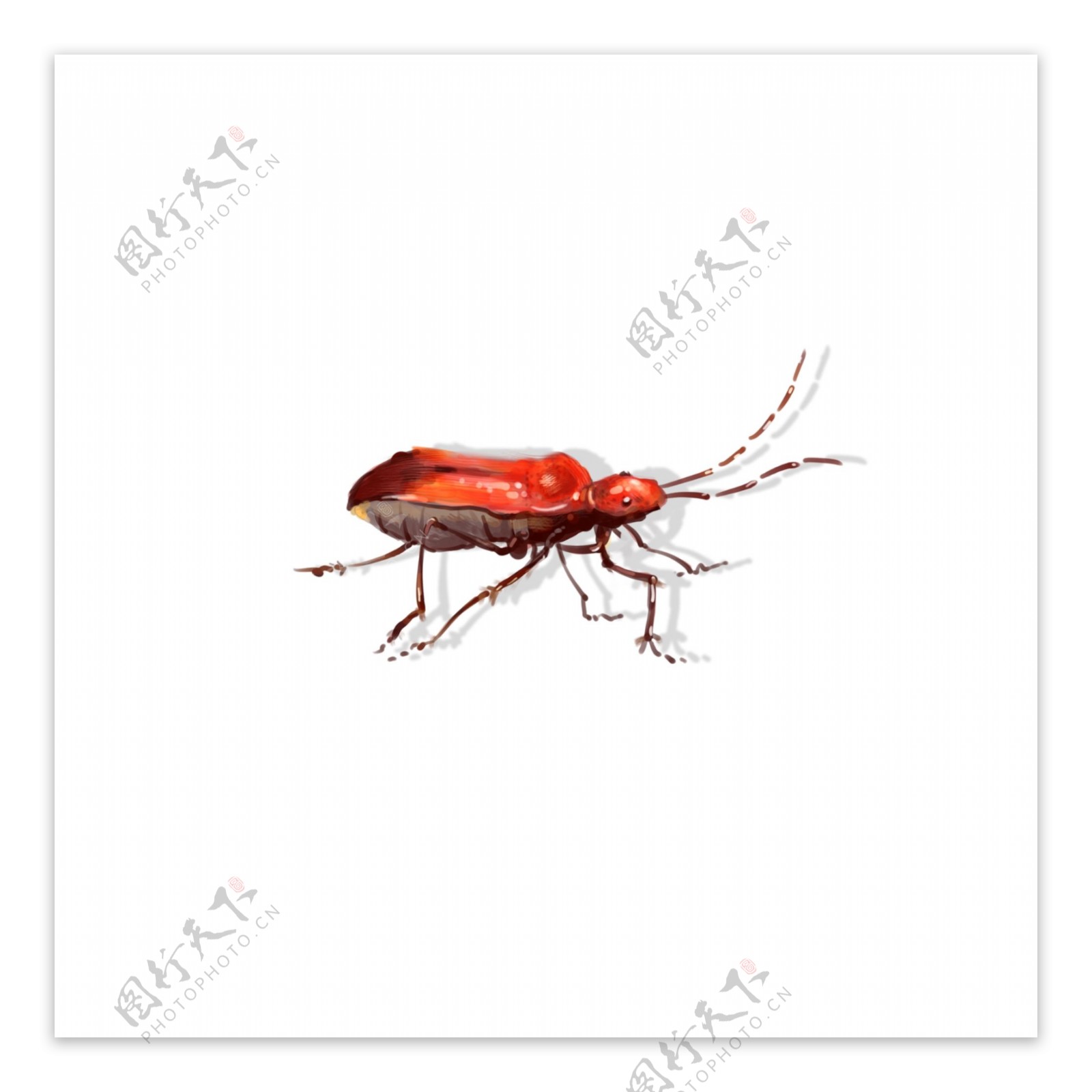手绘中国风昆虫甲壳臭屁虫飞行虫子动物素材