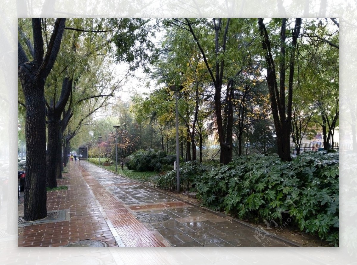 雨天的城市街道风景