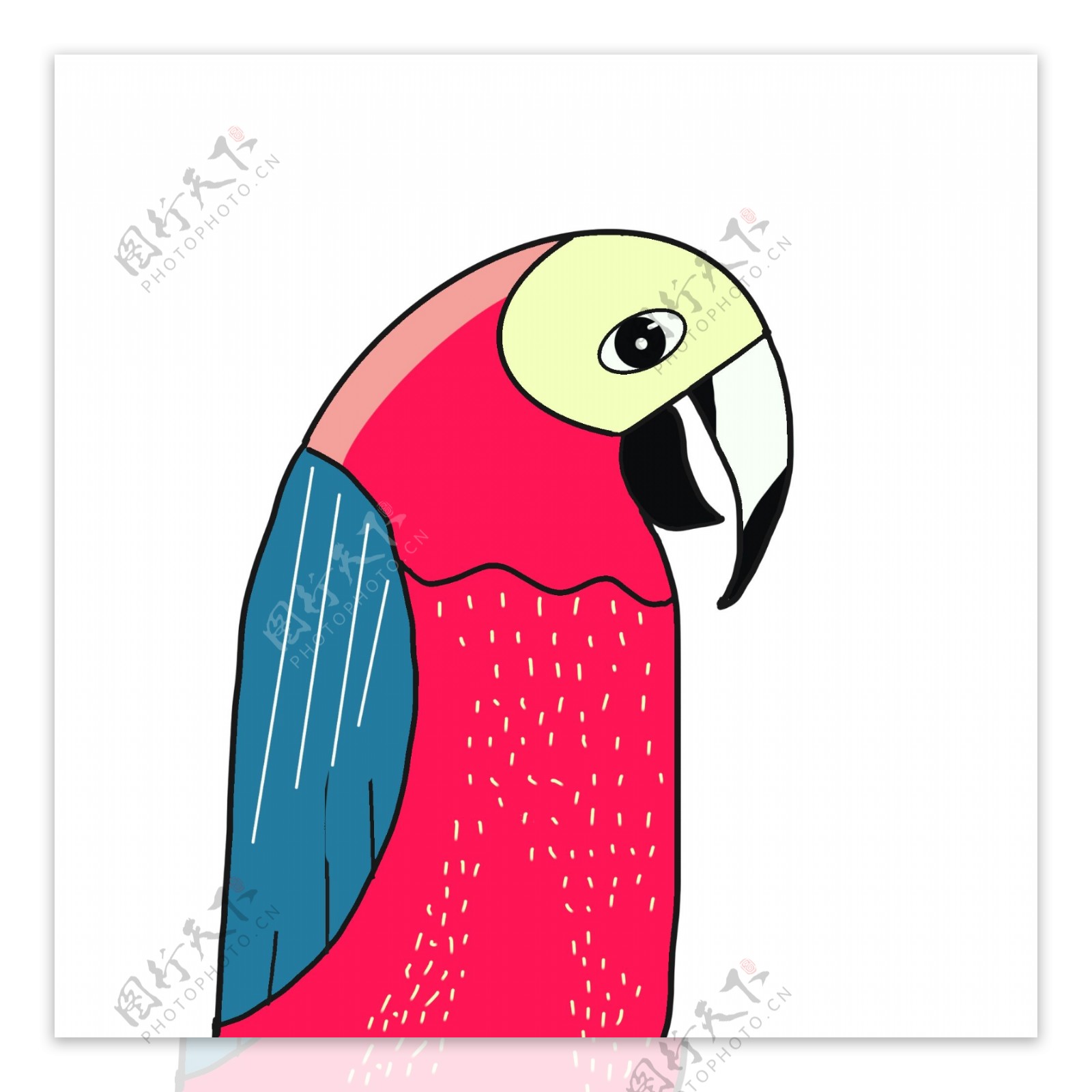 彩绘小鸟鹦鹉动物设计