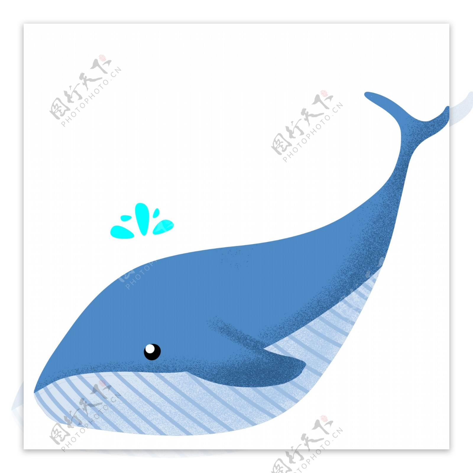 蓝色的大鲸鱼插画