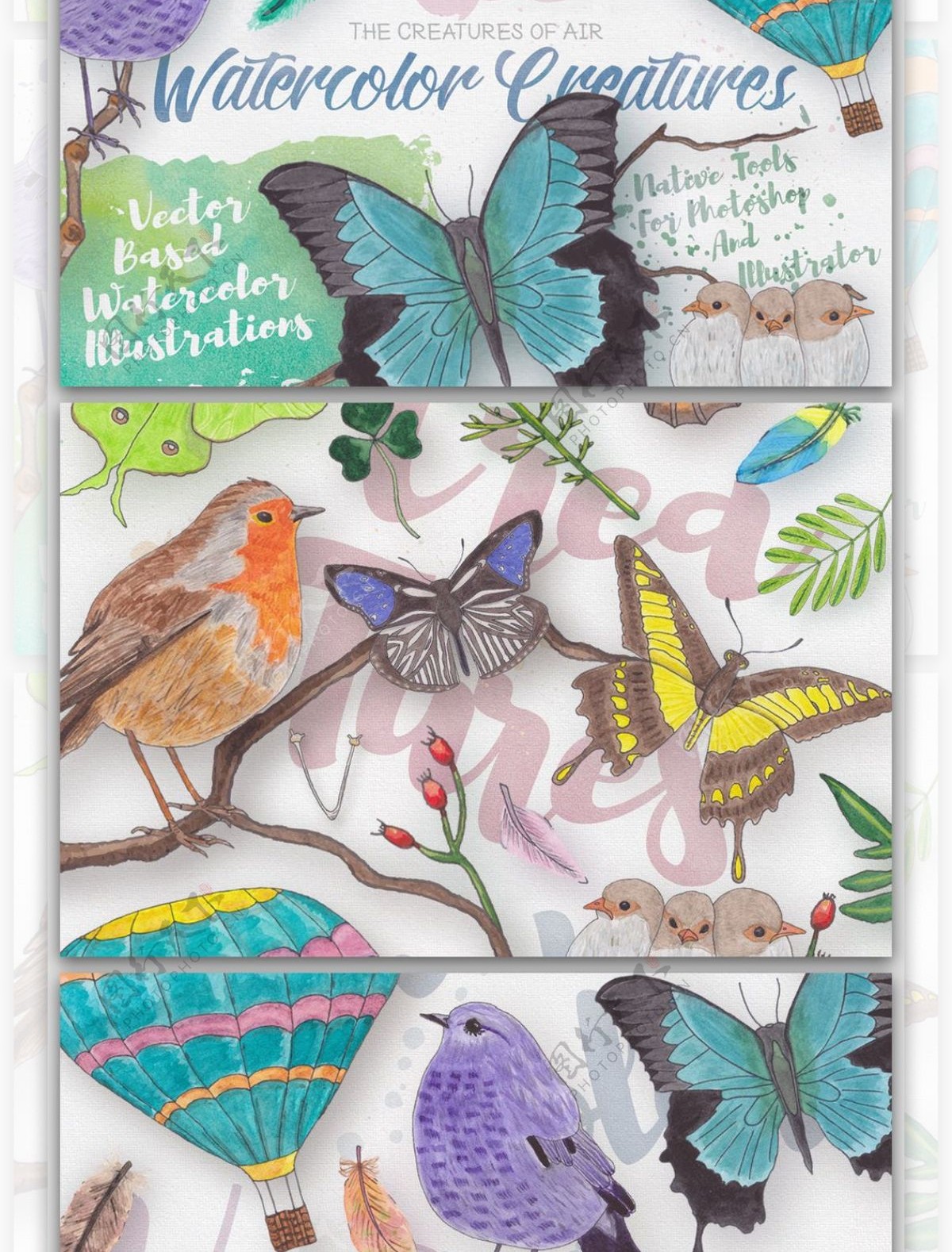 手绘水彩小鸟蝴蝶设计素材