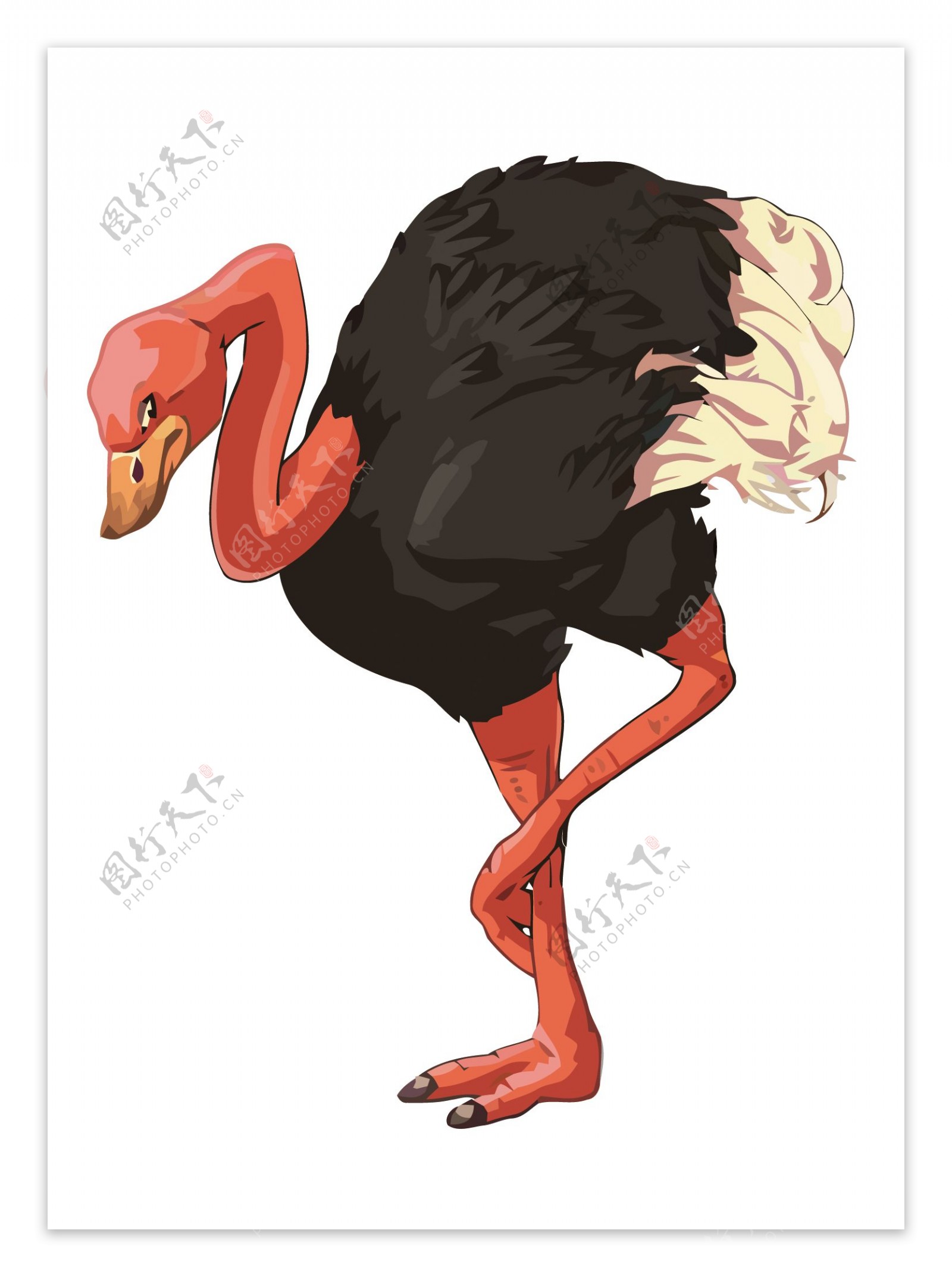 卡通动物鸵鸟造型形象png图片