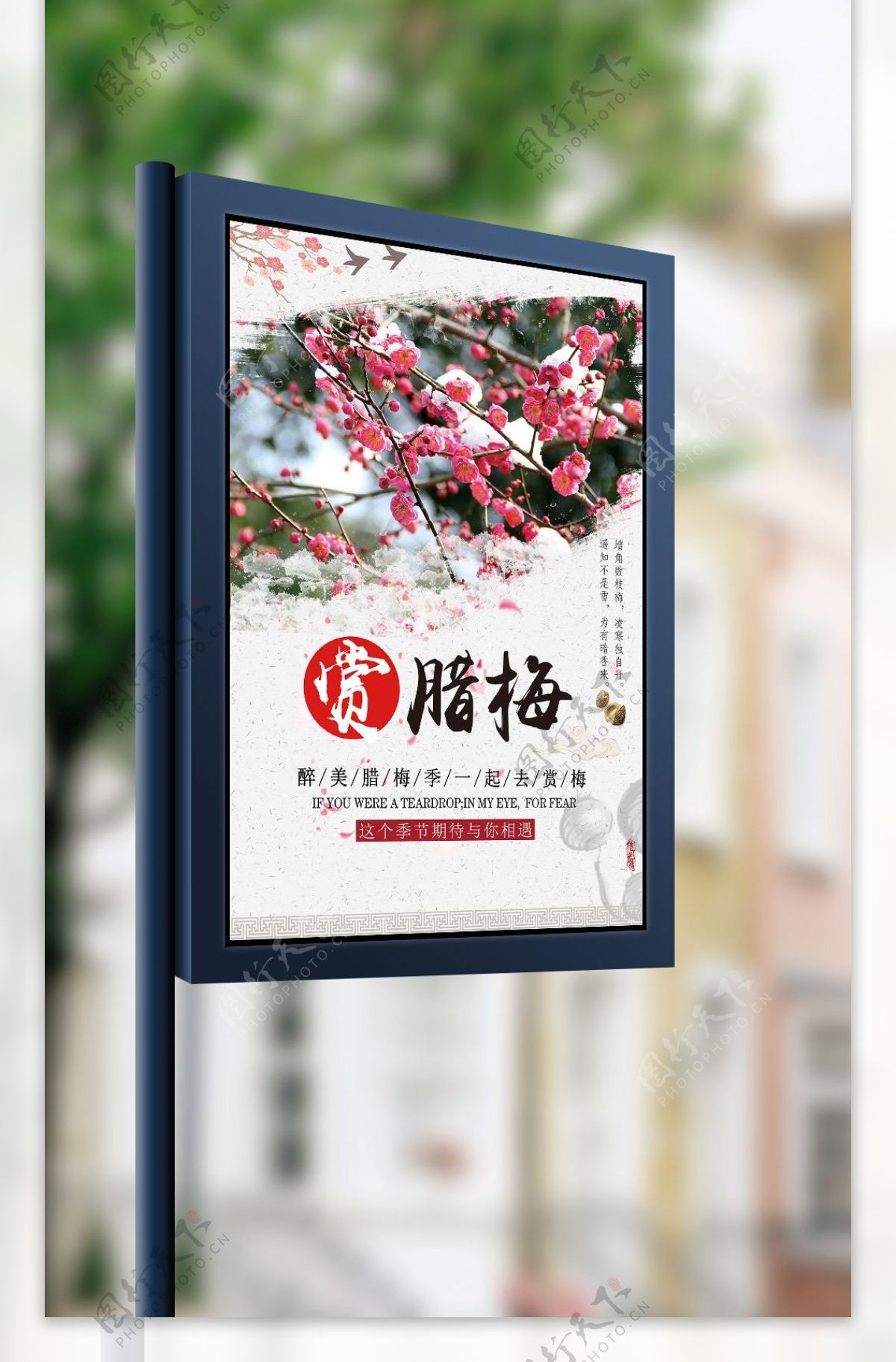 中国风赏梅花海报