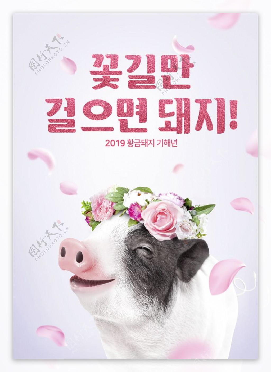 创意金猪节日商场活动海报