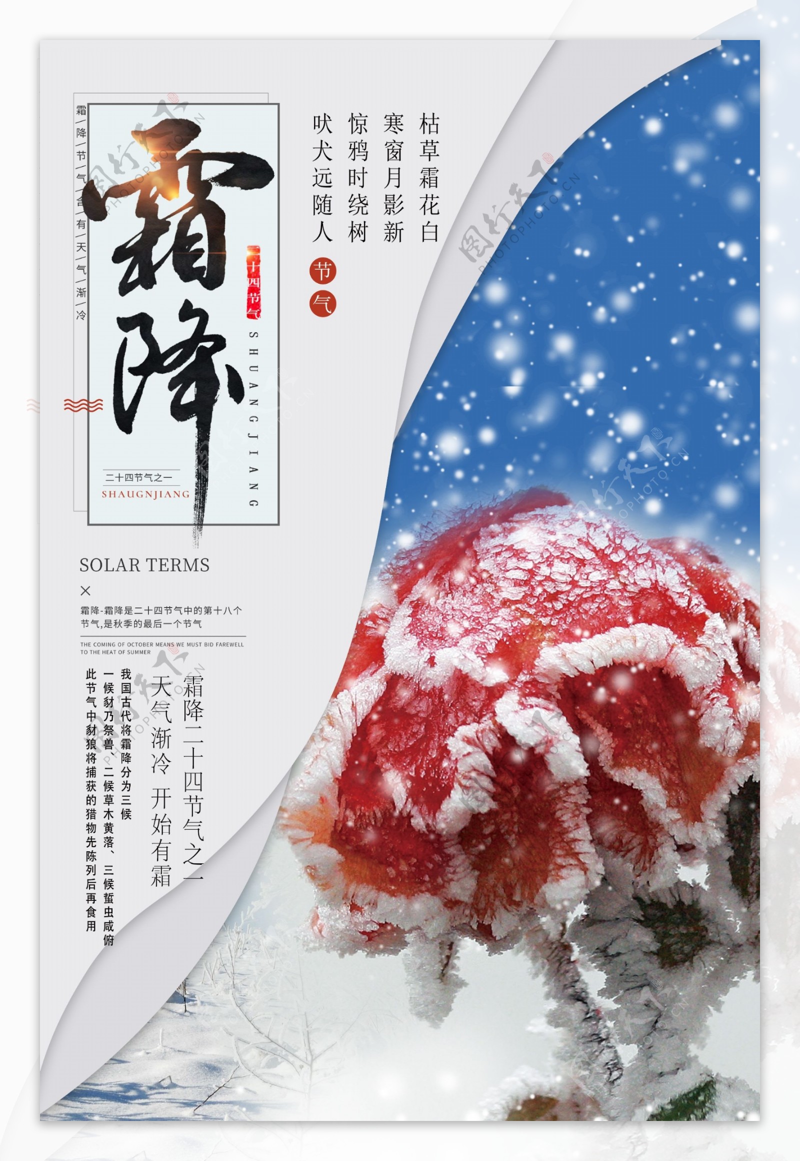中国风降霜节气海报设计.psd
