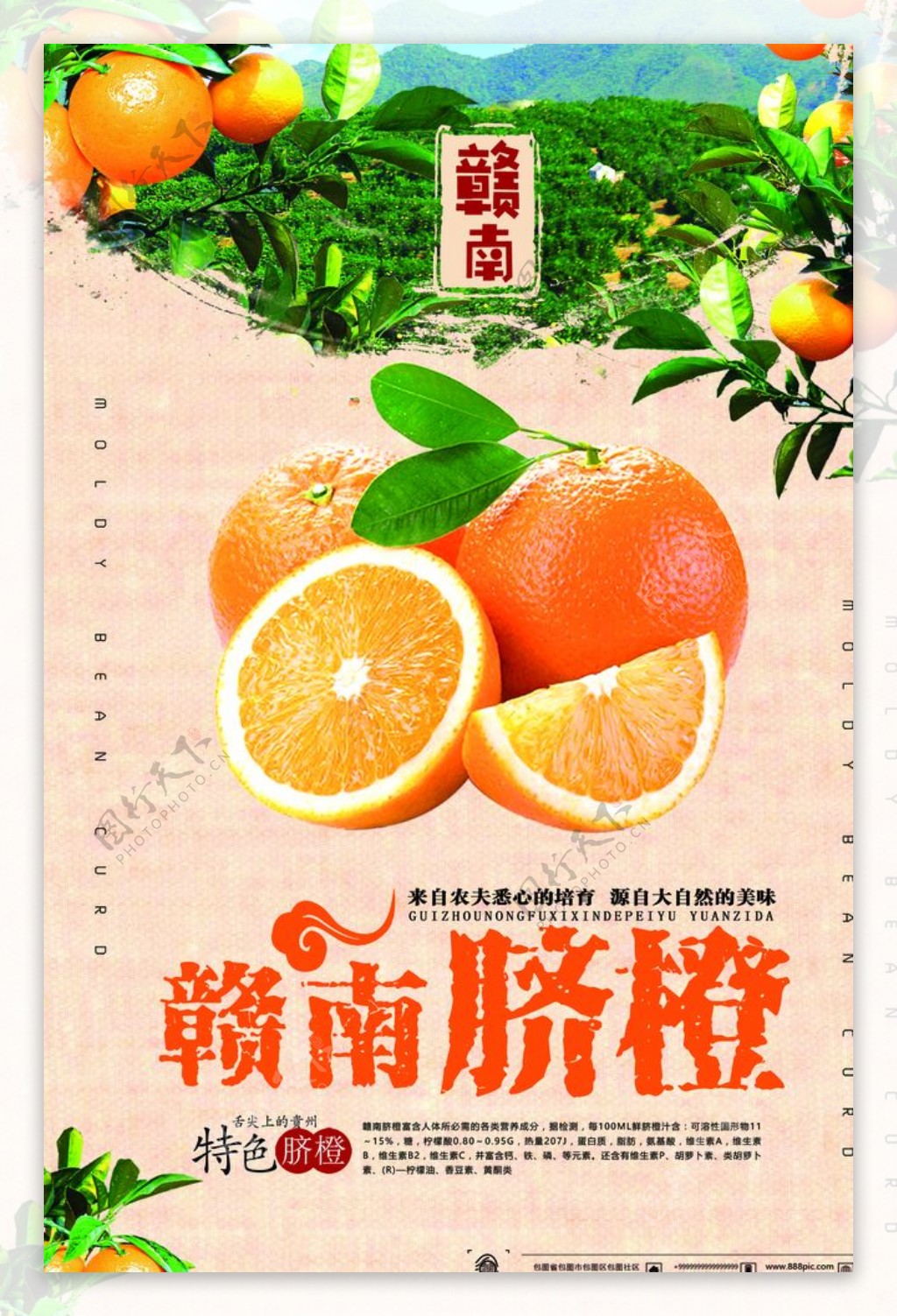 水果橘子海报设计
