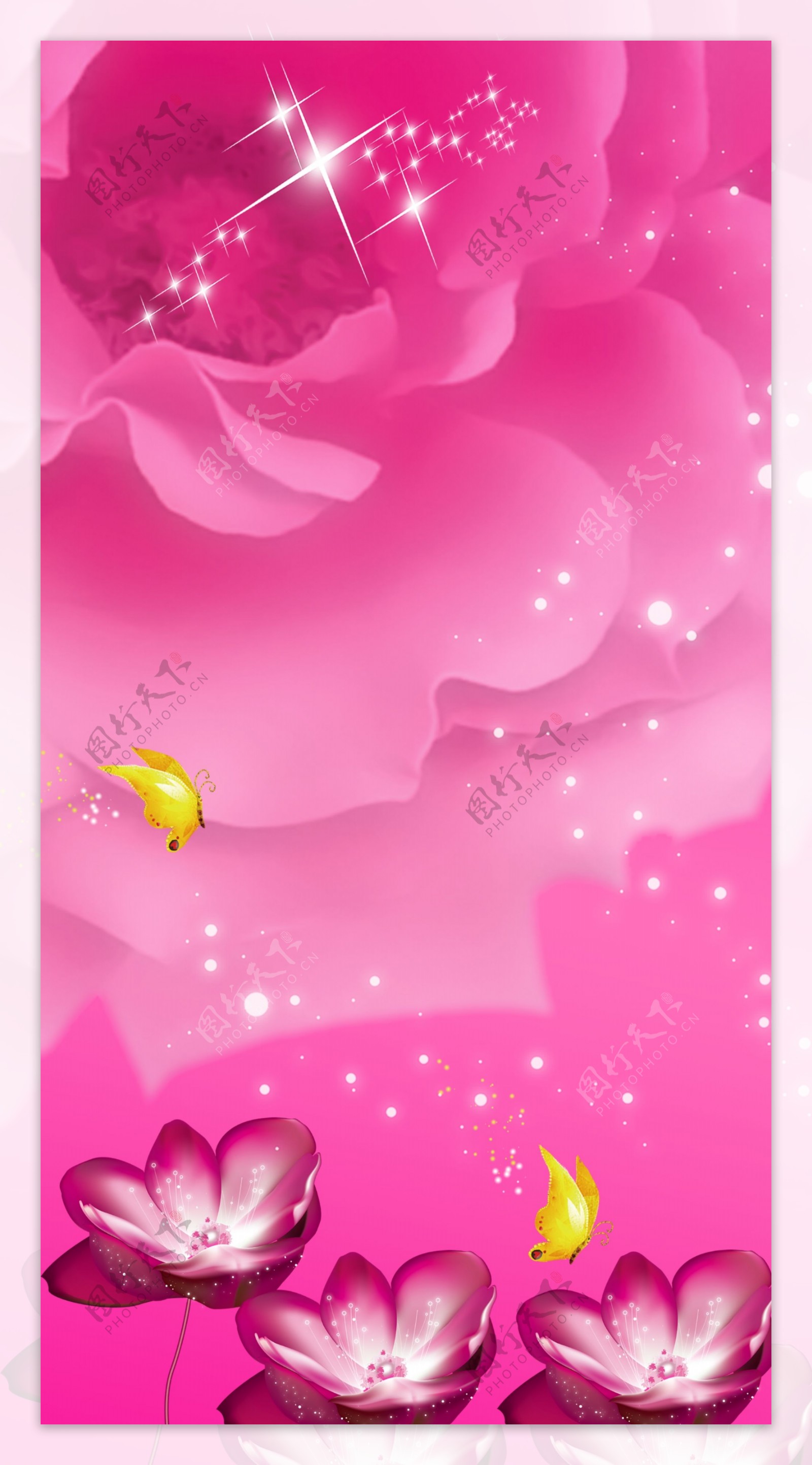 玫瑰蝴蝶星光熠熠粉色背景