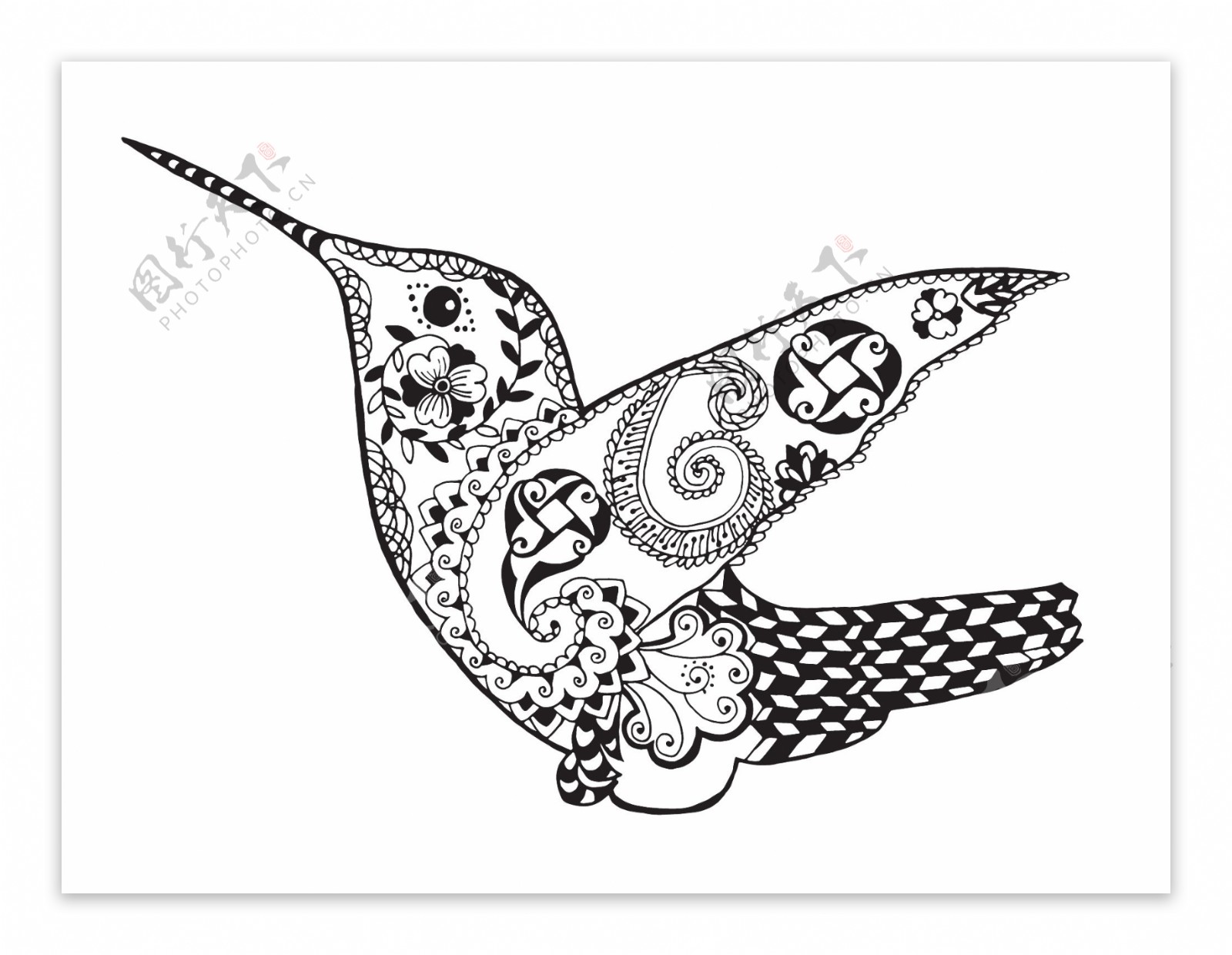 蜂鸟动物黑白线稿纹身图案印花矢量