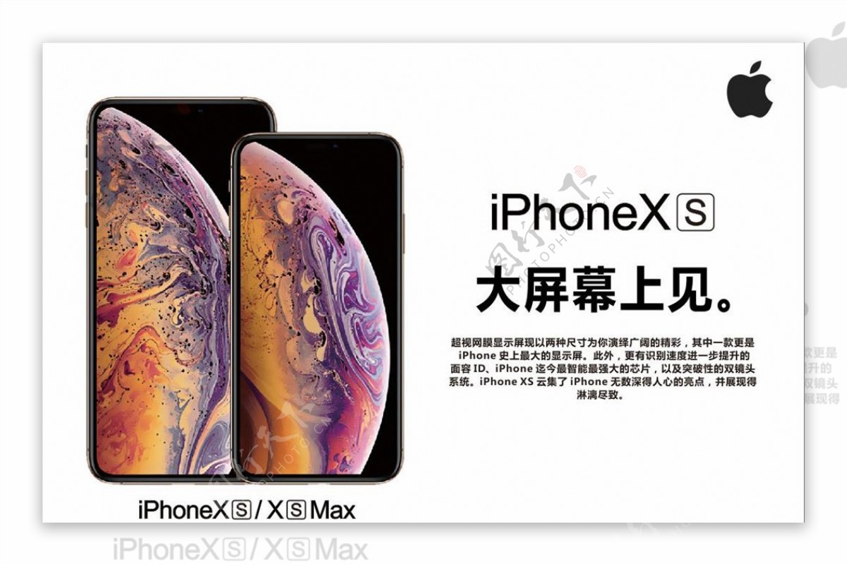 苹果XS手机背板