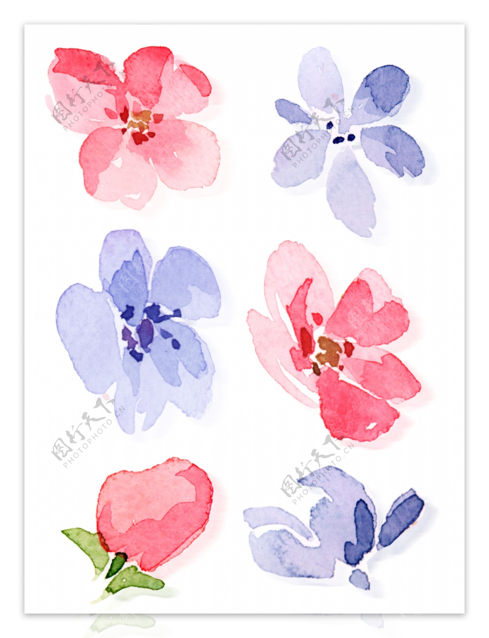 小清新水彩手绘花卉花瓣植物套图