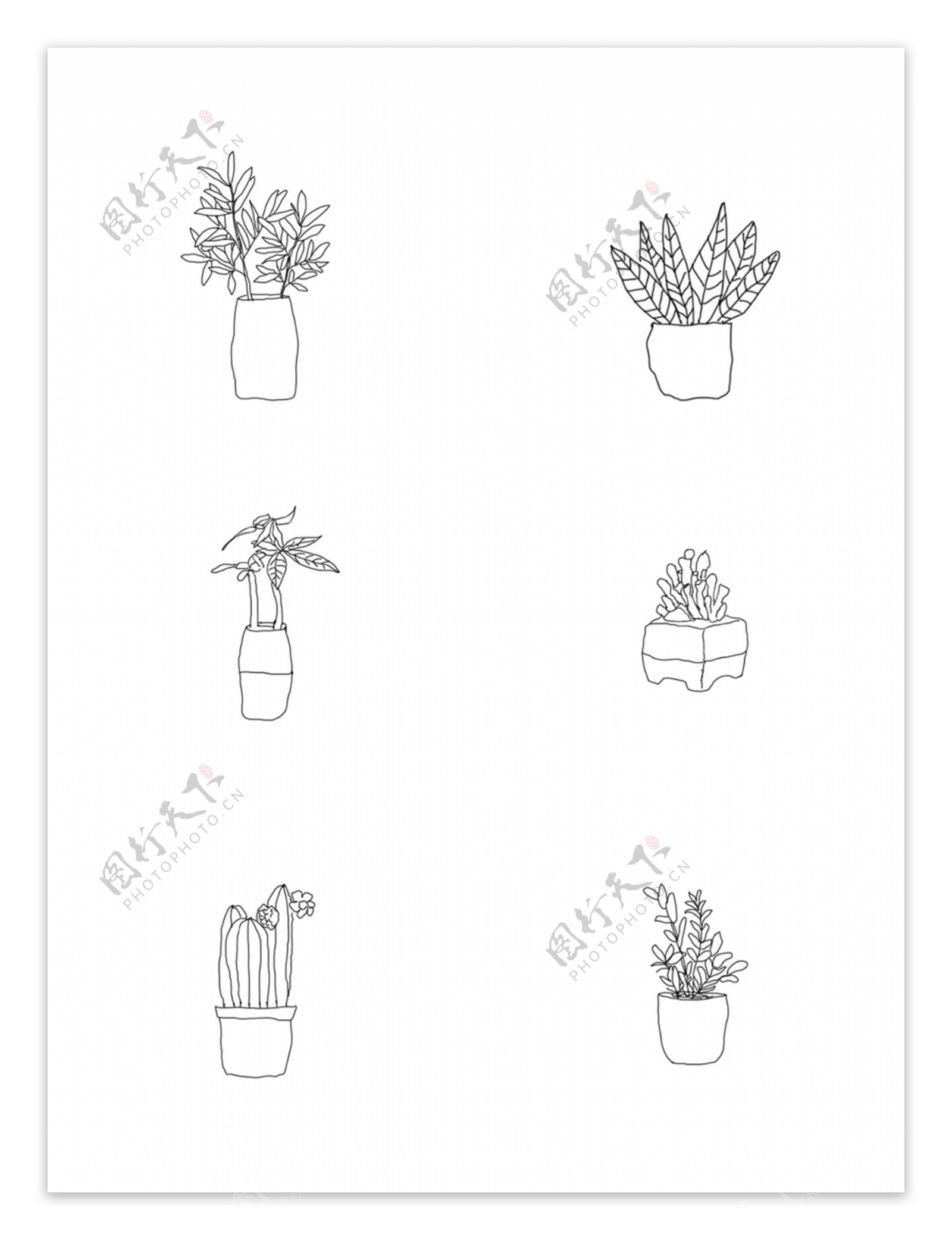 原创植物盆栽花盆植物线稿手绘植物花