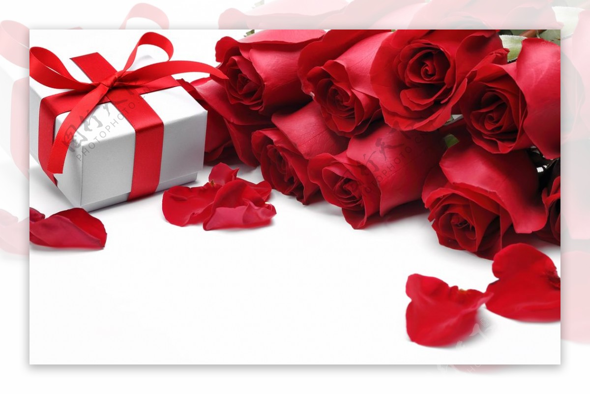 玫瑰花与礼物盒