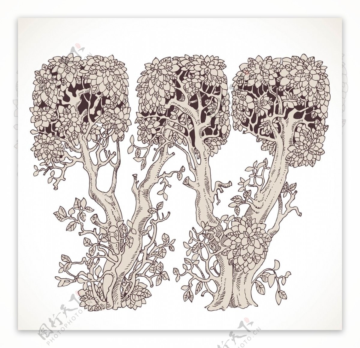 艺术英文字母手绘树