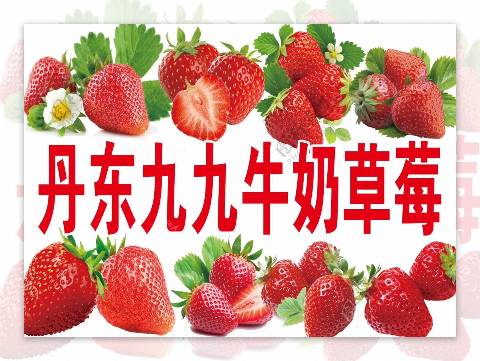 草莓食品背景夏天