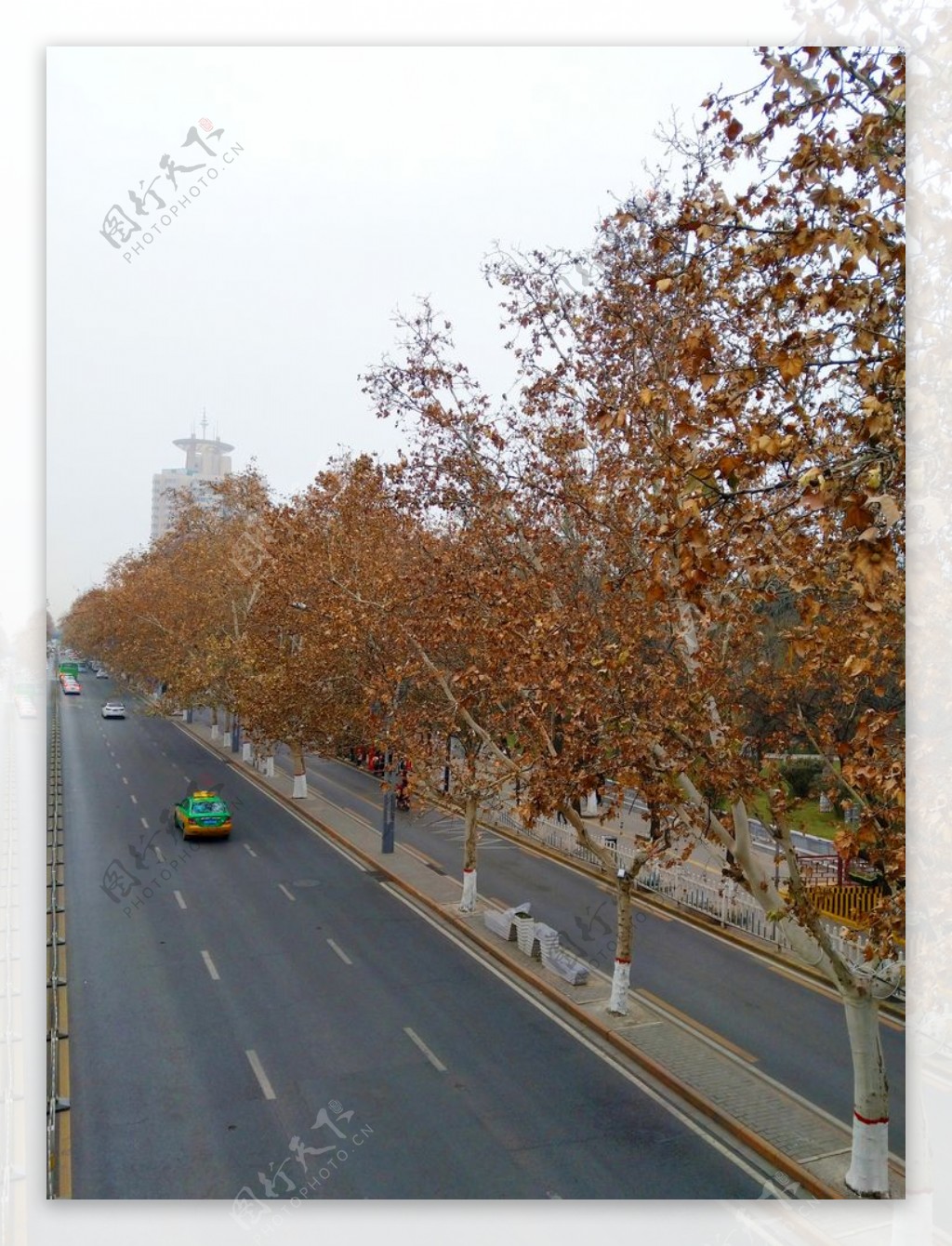 城市道路风景