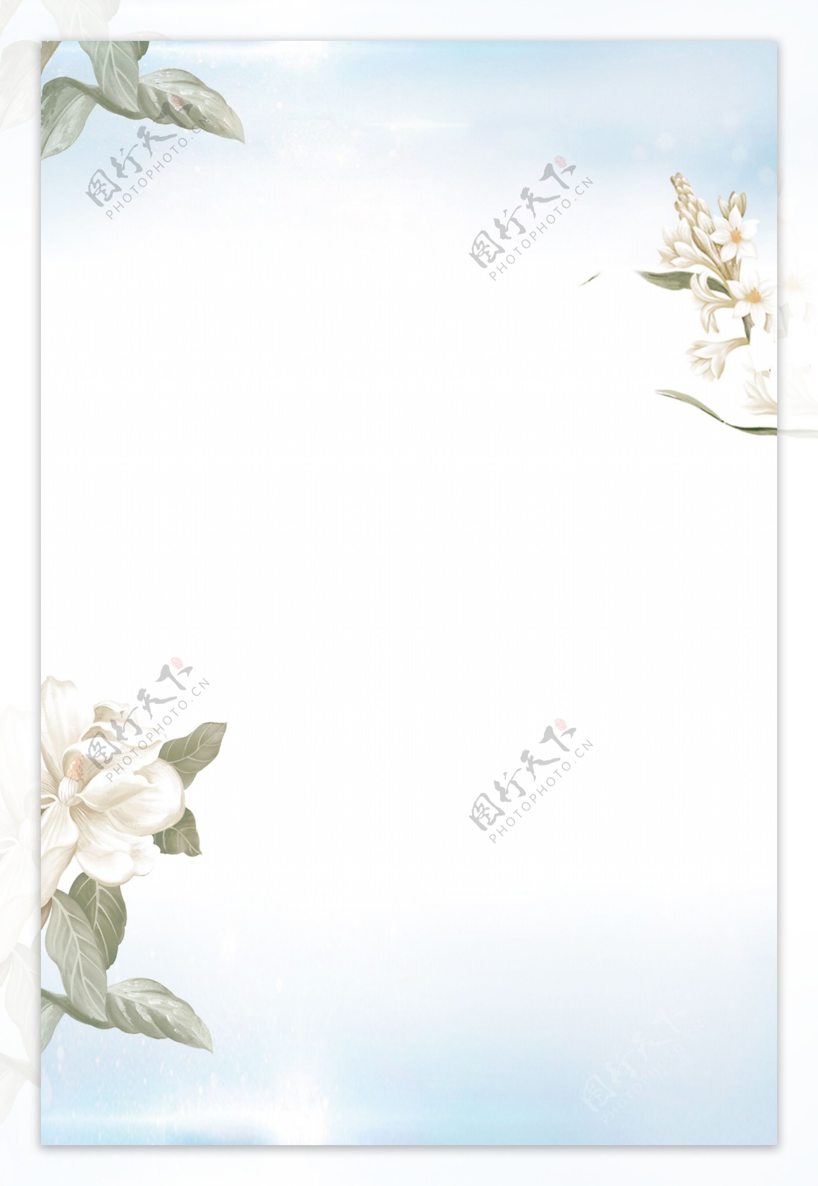 白色清新手绘花卉背景素材