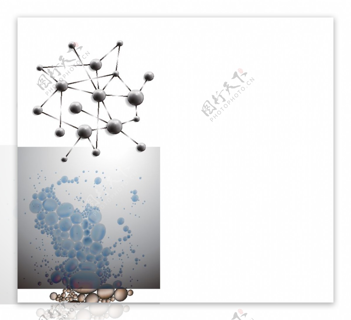 分子细胞