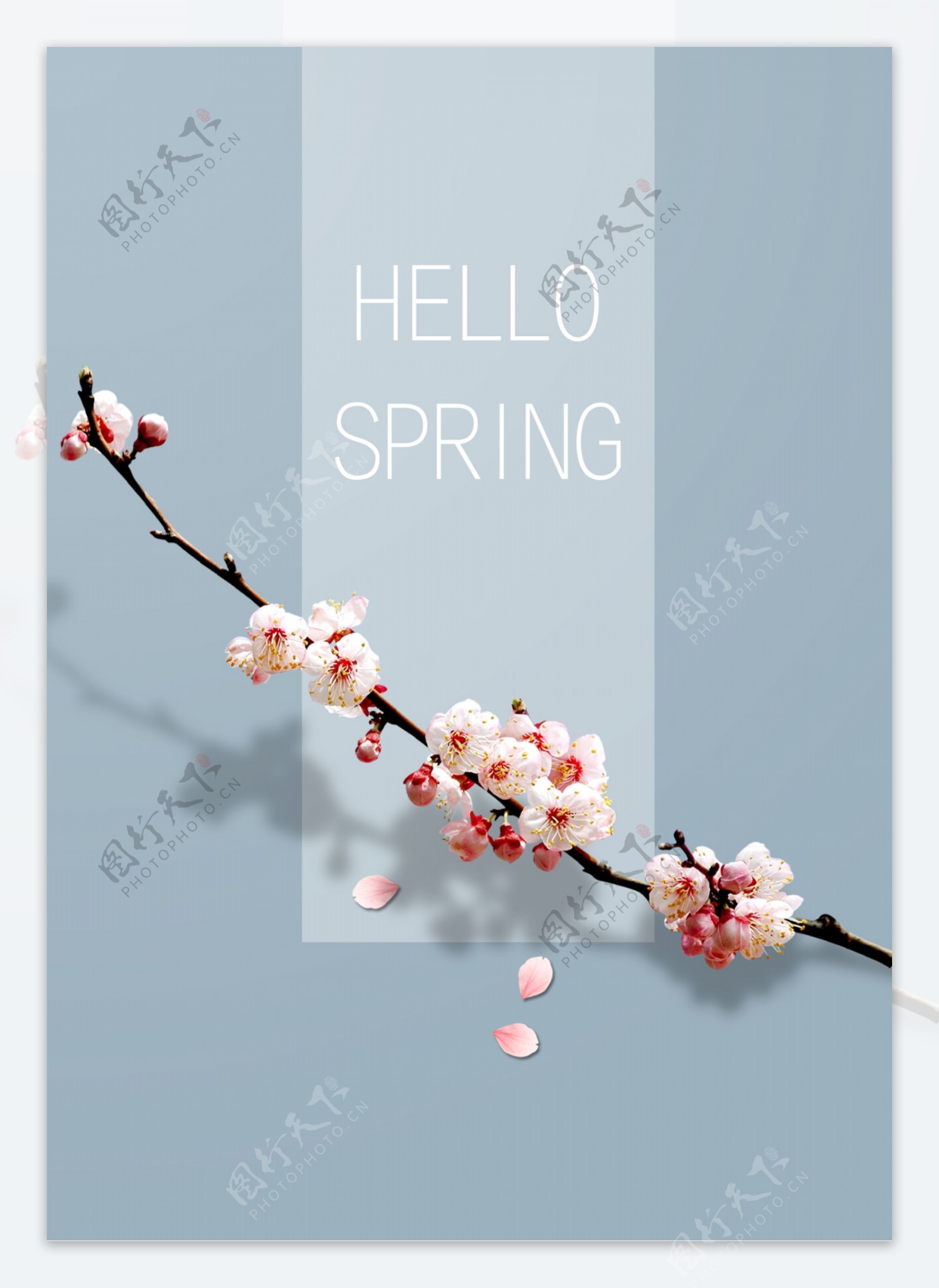 蓝色清新风桃花春季促销海报