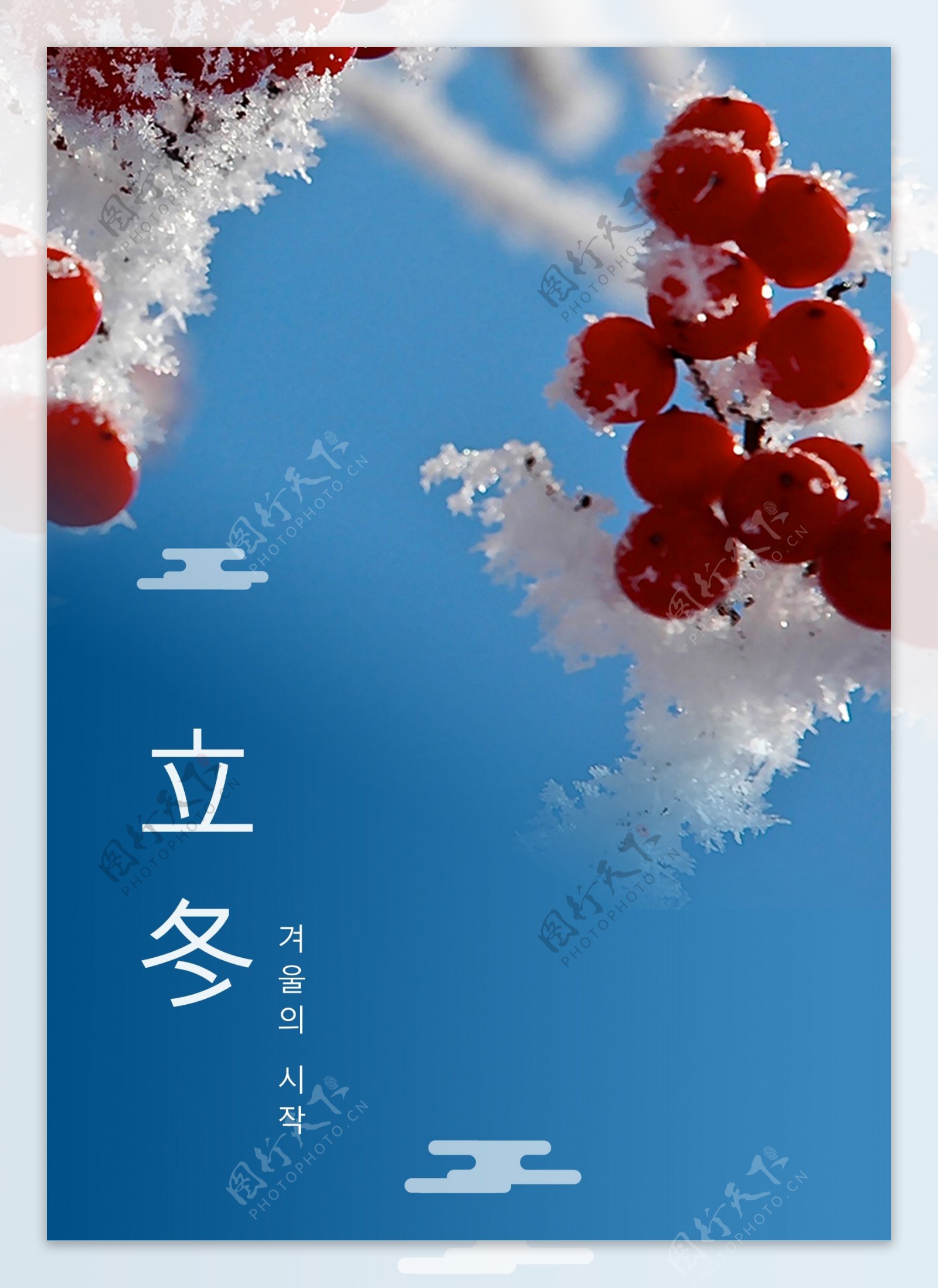 蓝色简单的花树雪风景冬天海报