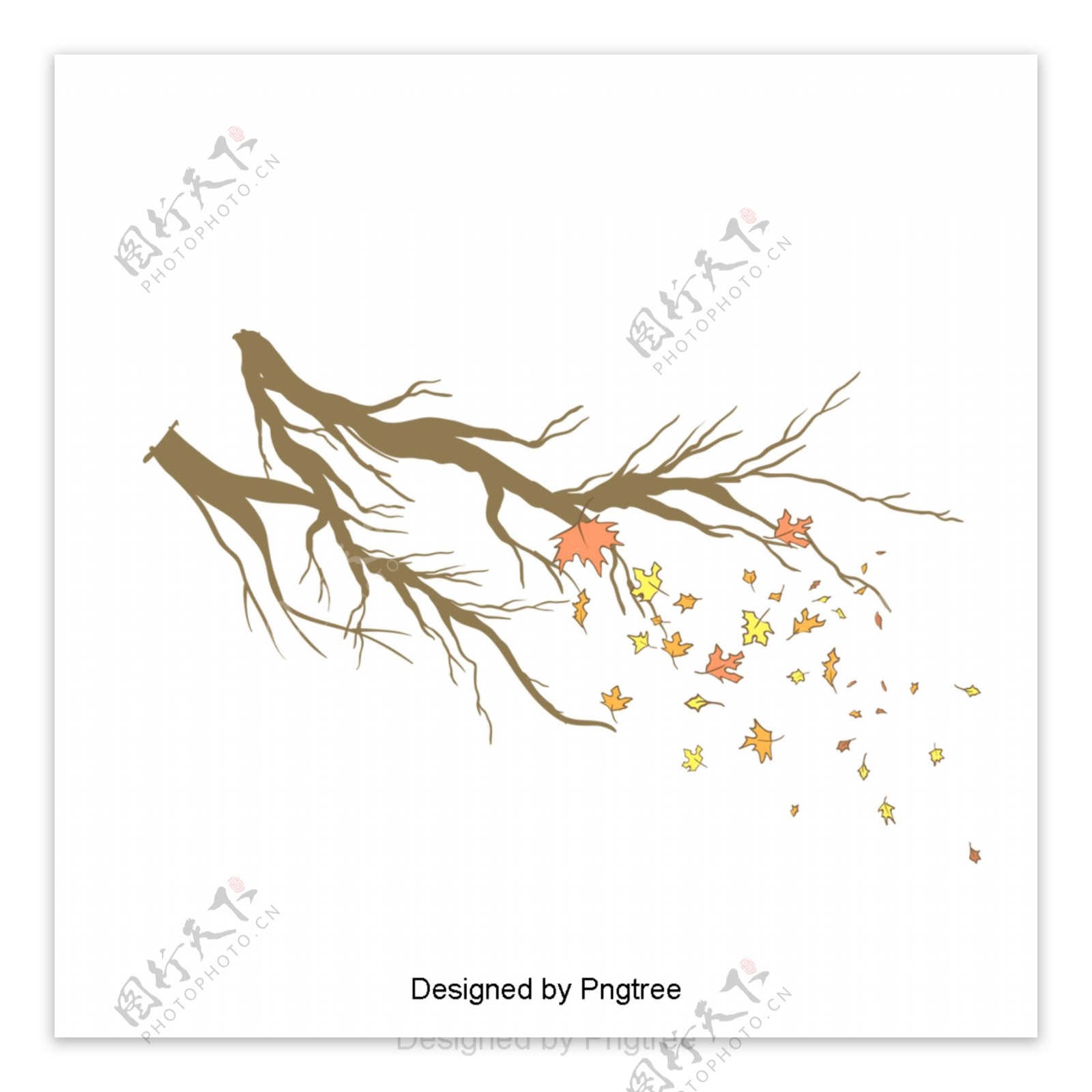 秋风吹落树枝上的枫叶图案材料
