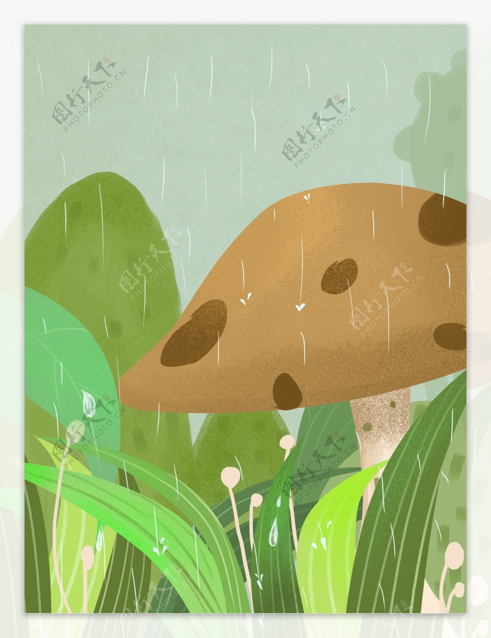 小雨节气蘑菇插画背景