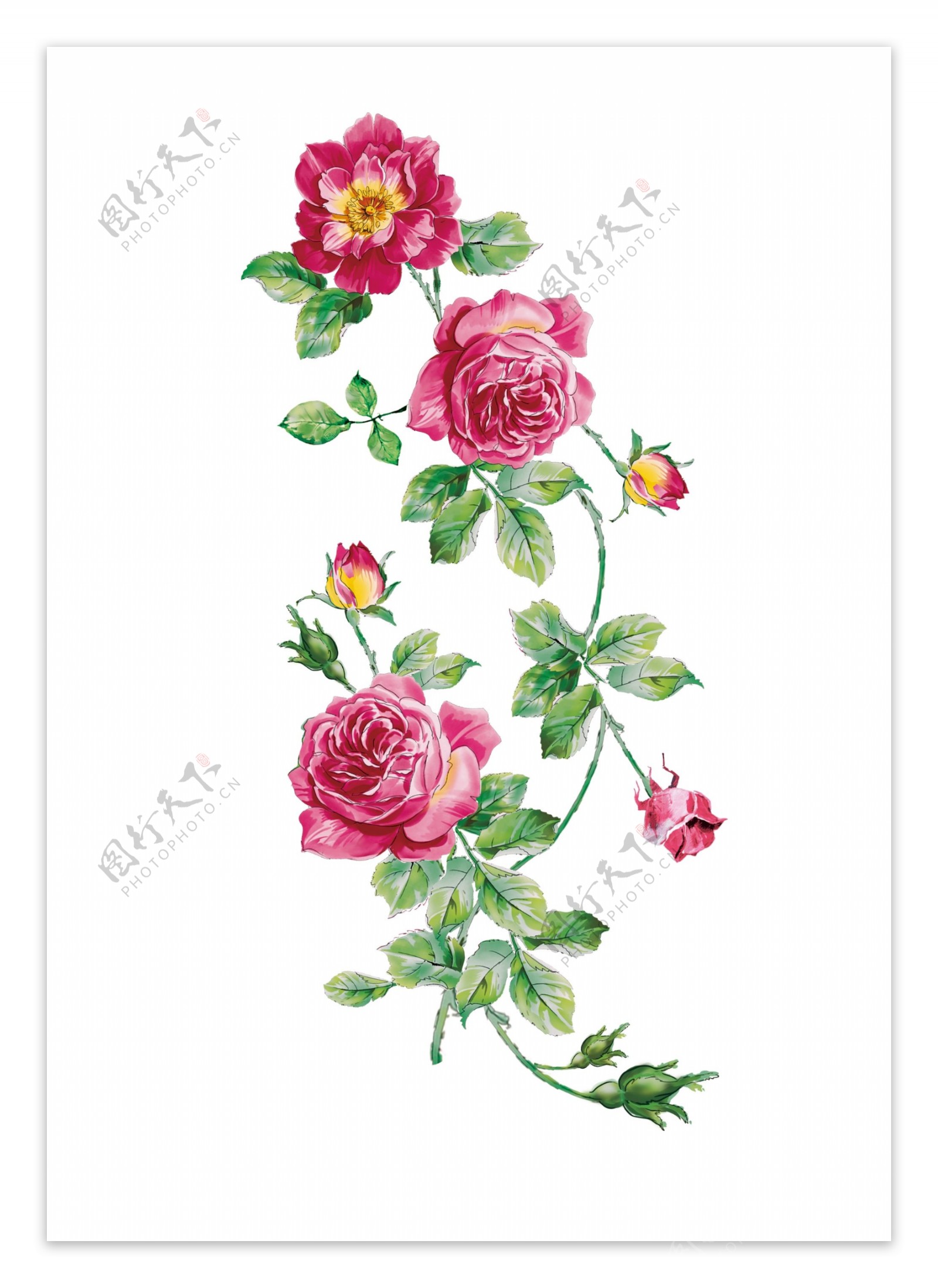 玫瑰花手绘循环花印花底纹