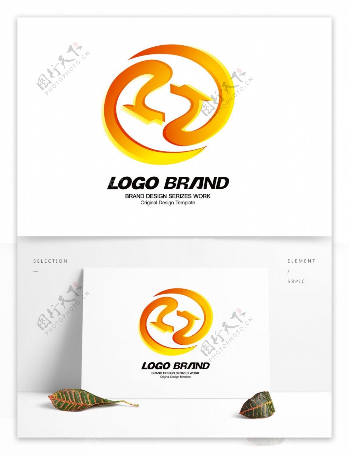 矢量创意金色飞龙标志公司LOGO设计