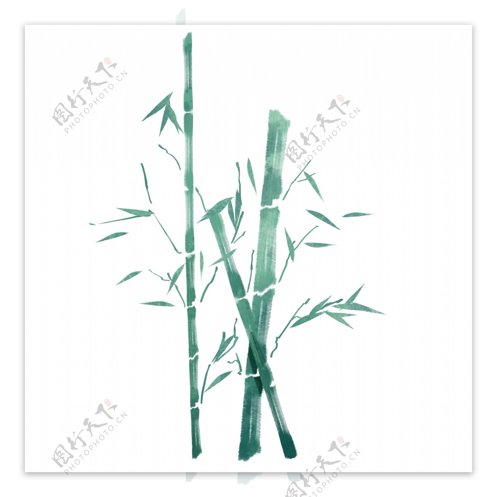 绿色的竹子手绘传
