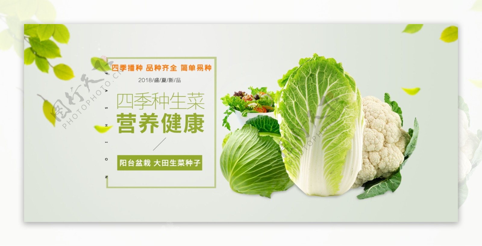 清新新鲜水果蔬菜海报