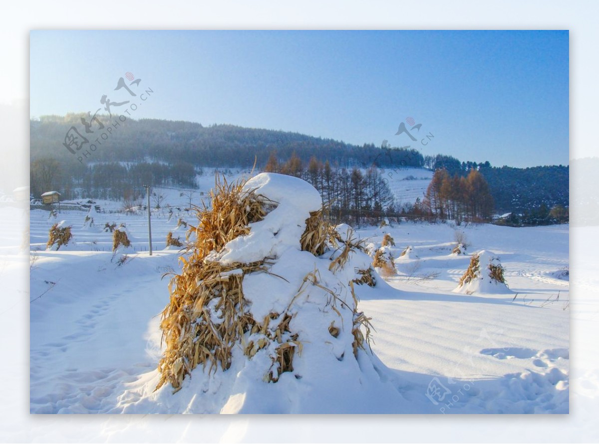 松岭雪村