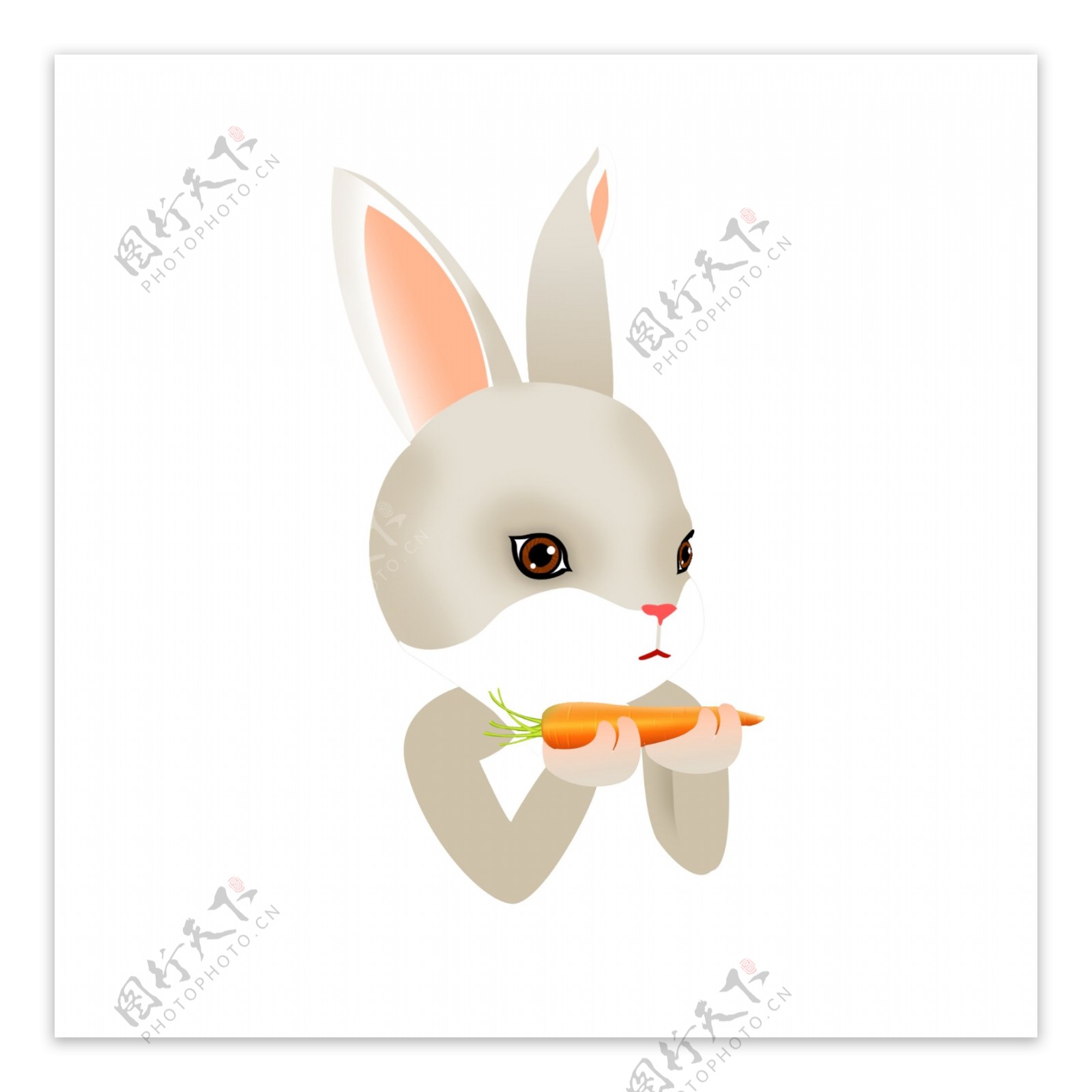 矢量吃萝卜的小兔子