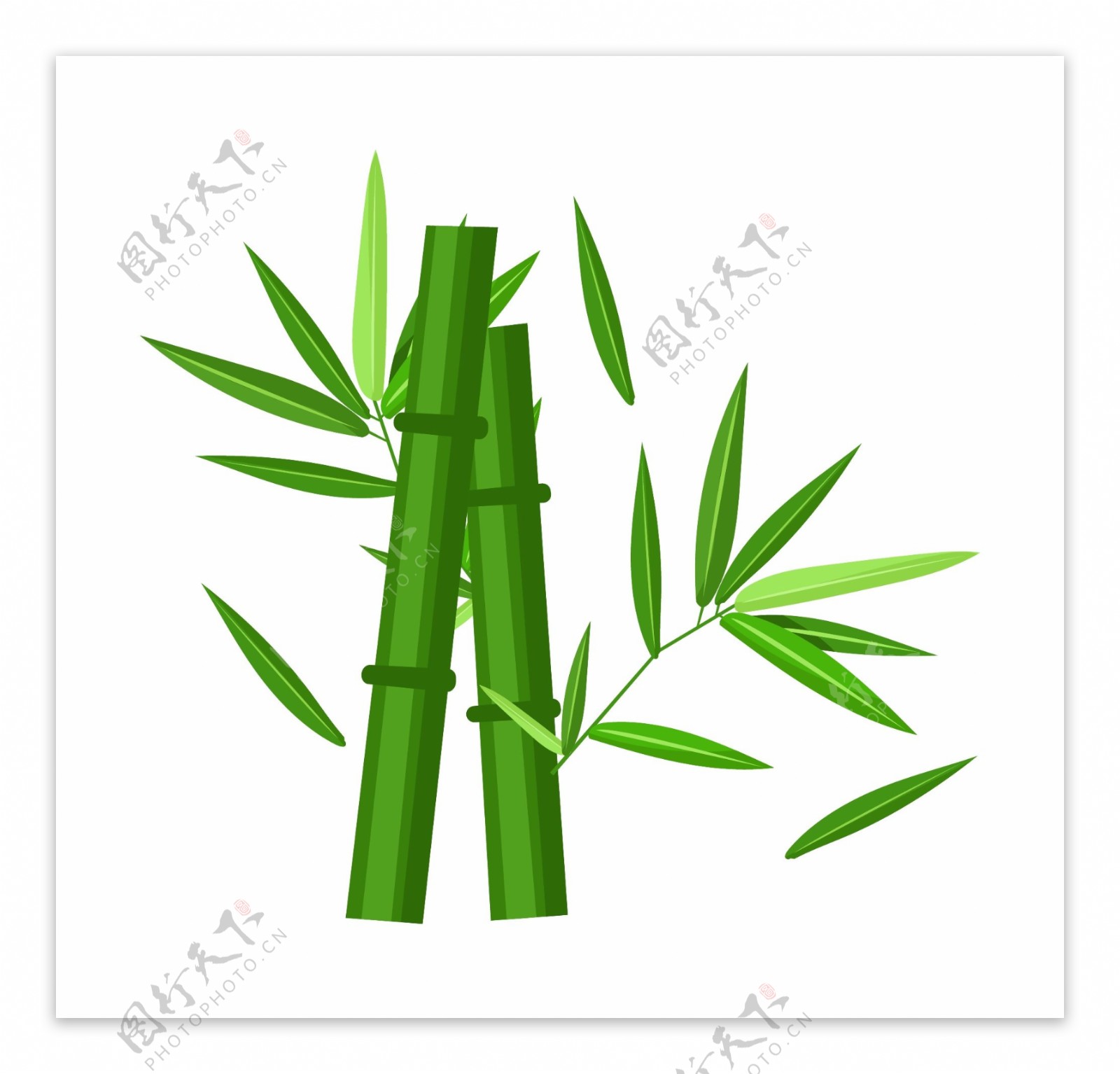 坚强的绿色竹子插画