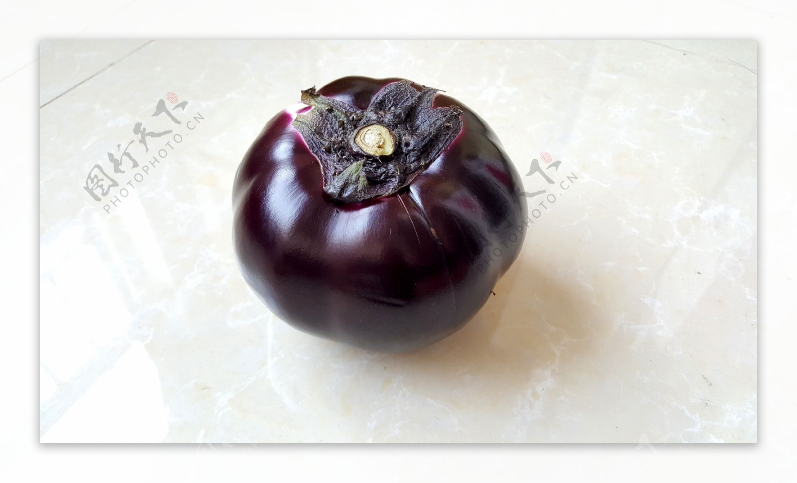 茄子新品种：海丰长茄3号 - 中国蔬菜 - 新农资360网|土壤改良|果树种植|蔬菜种植|种植示范田|品牌展播|农资微专栏