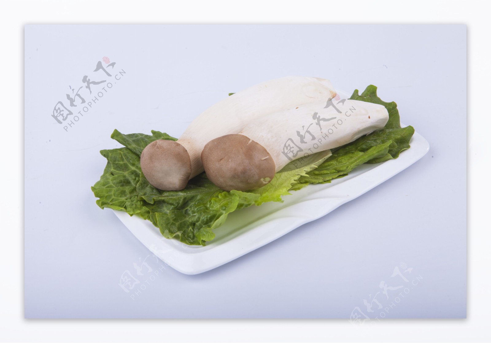 蔬菜鸡腿菇实物图摄影图3