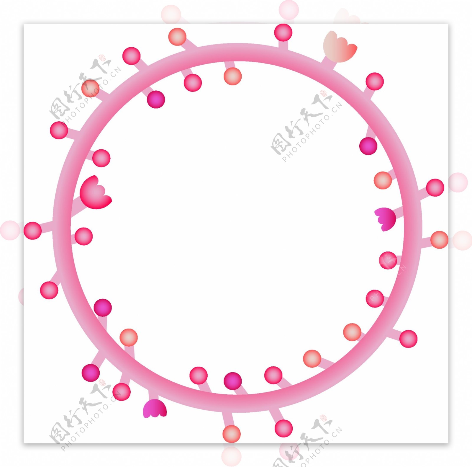 粉色圆点框框插图