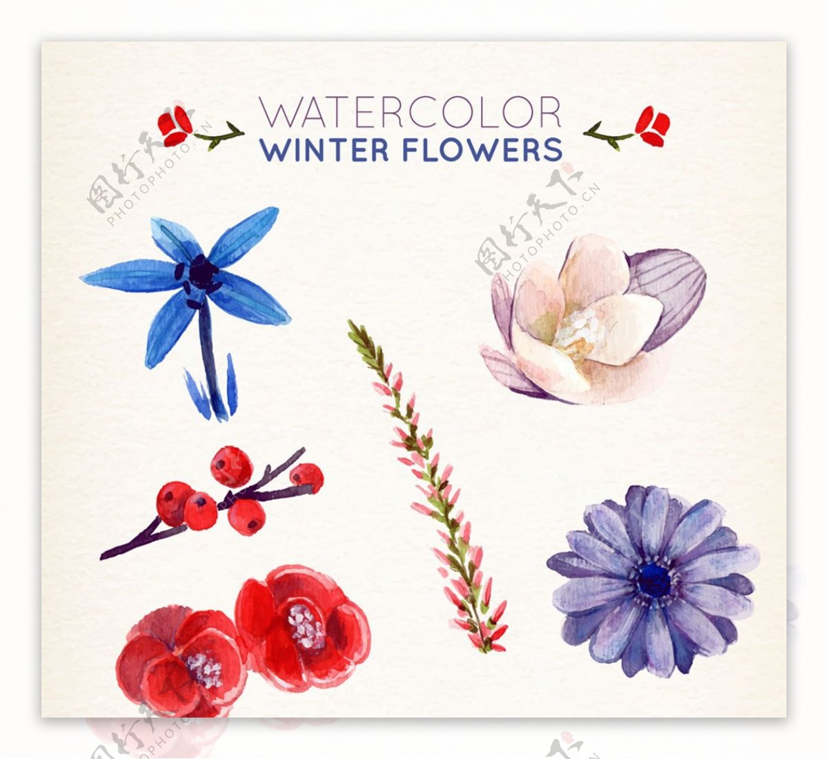 6款水彩绘冬季植物花卉