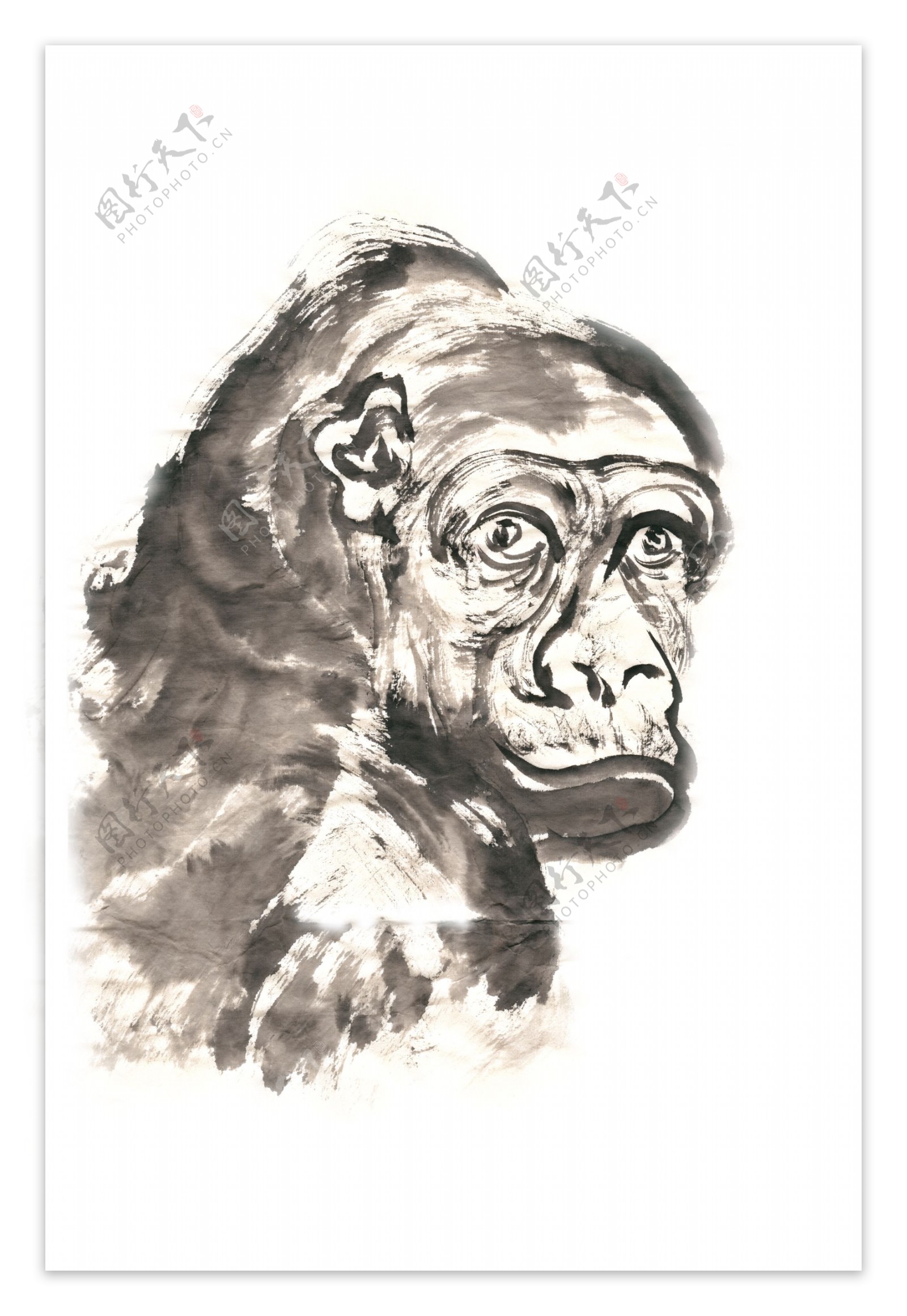 转脸的猿猴水墨画PNG免抠素材