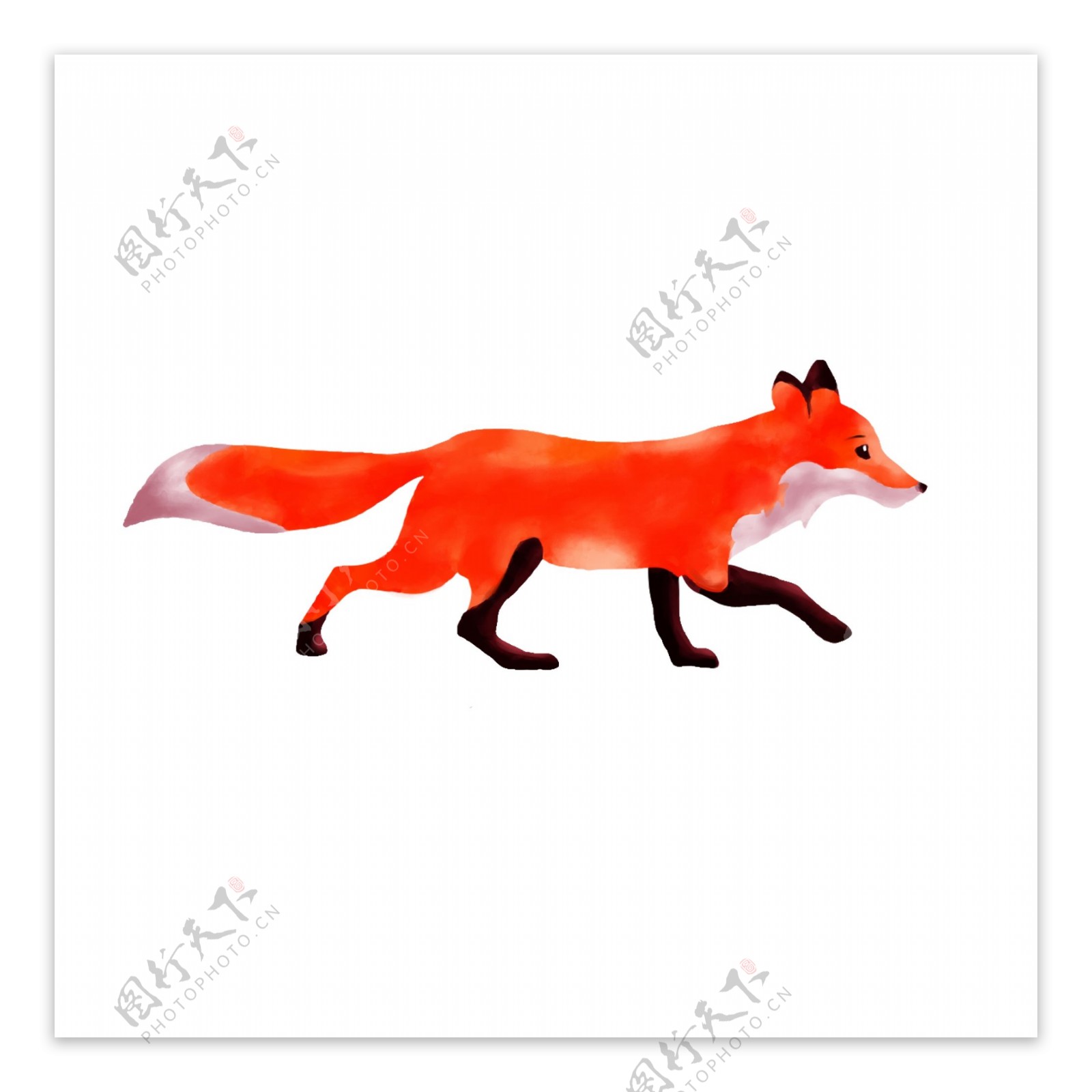手绘卡通红色狐狸