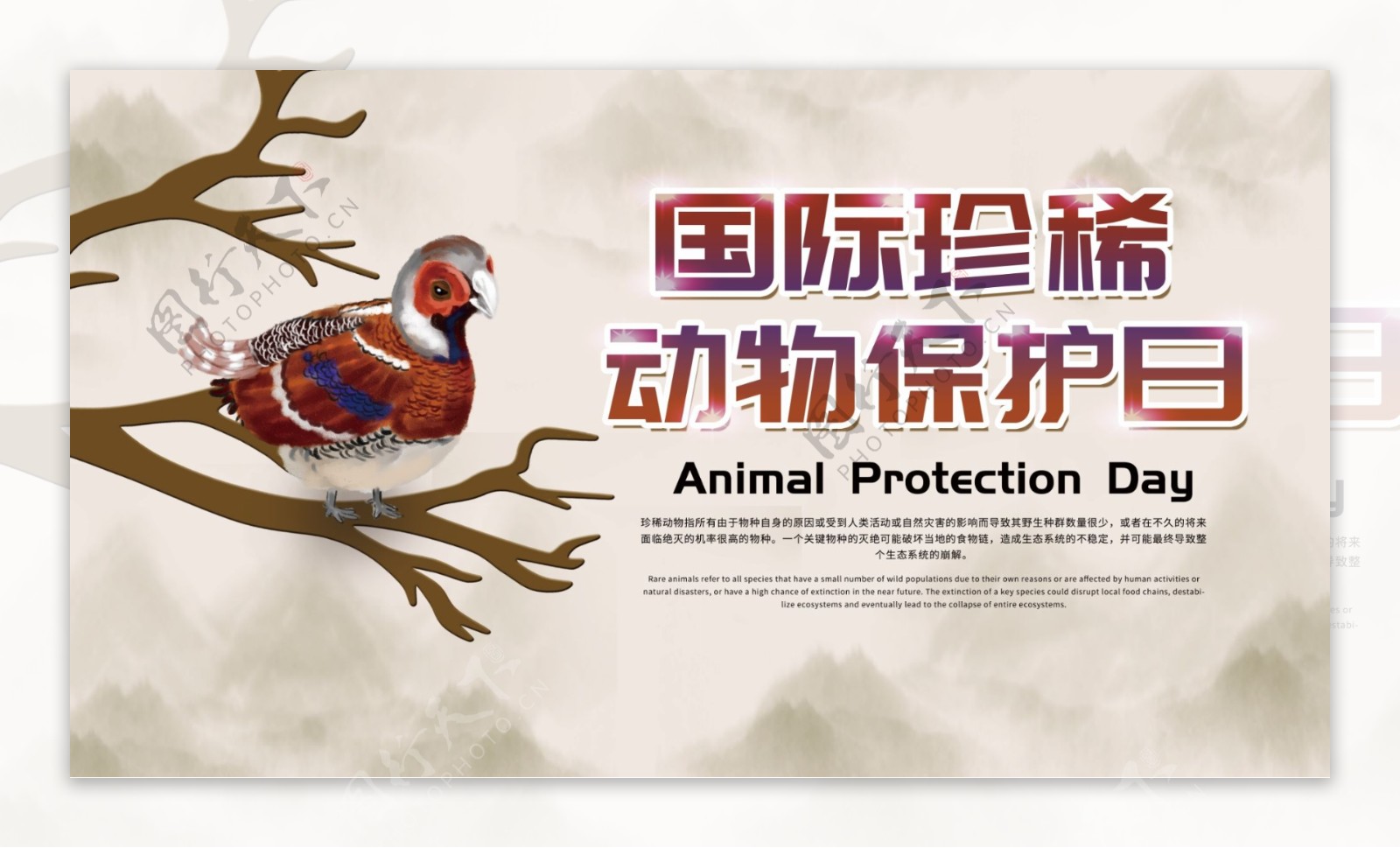 保护珍惜动物