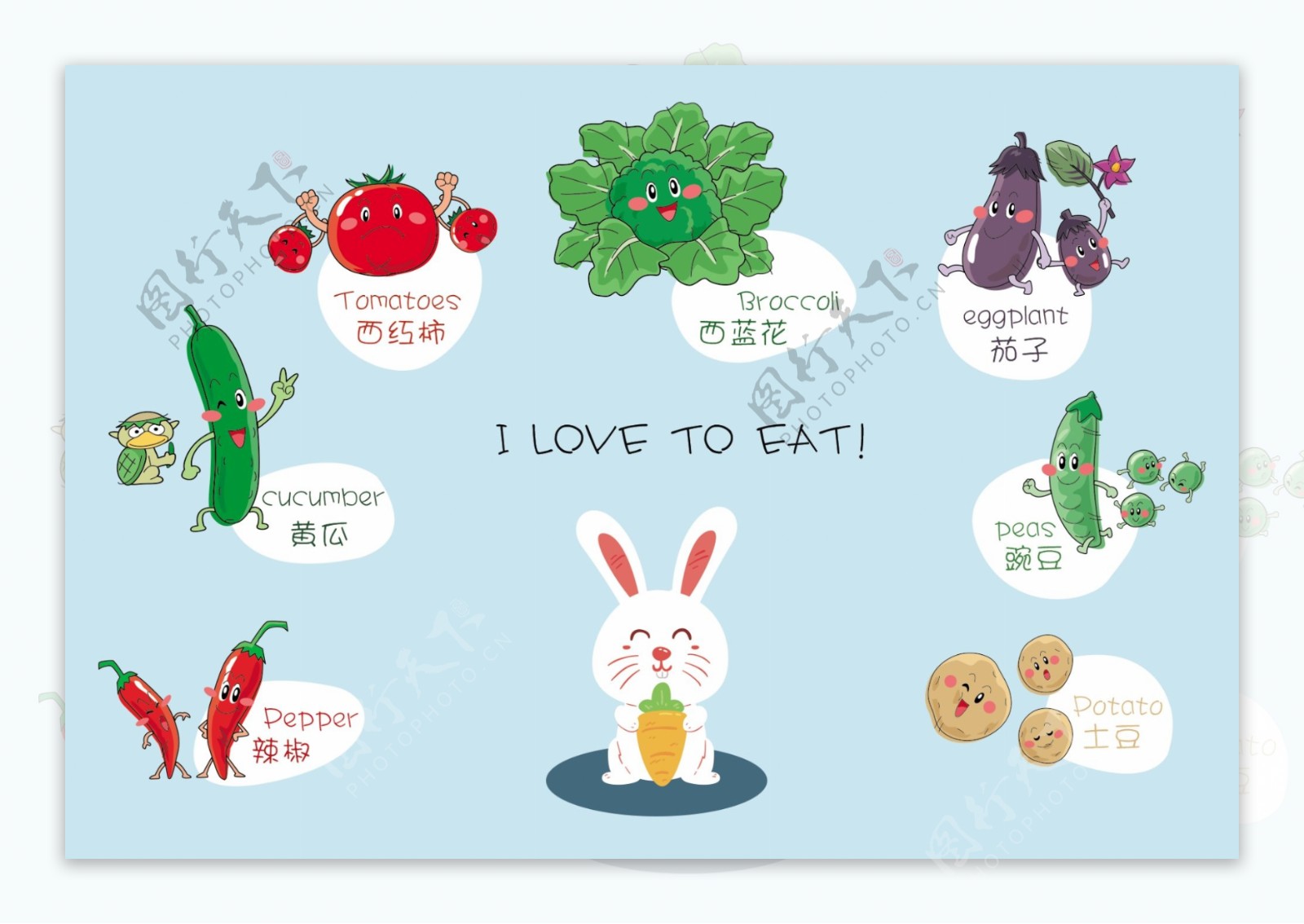 蔬菜宝宝图片绘本,小班,观察(第10页)_大山谷图库