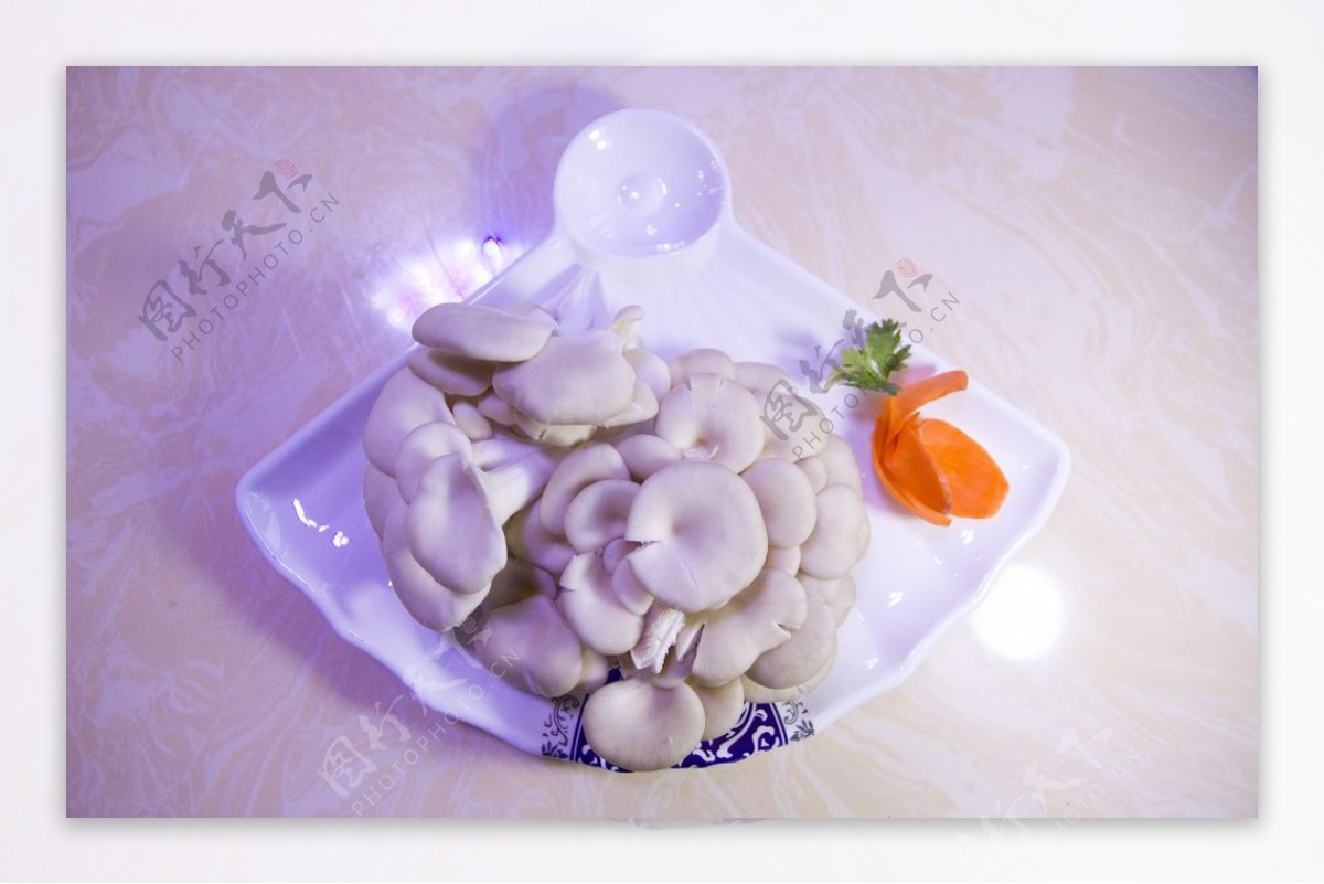鲜菇蘑菇